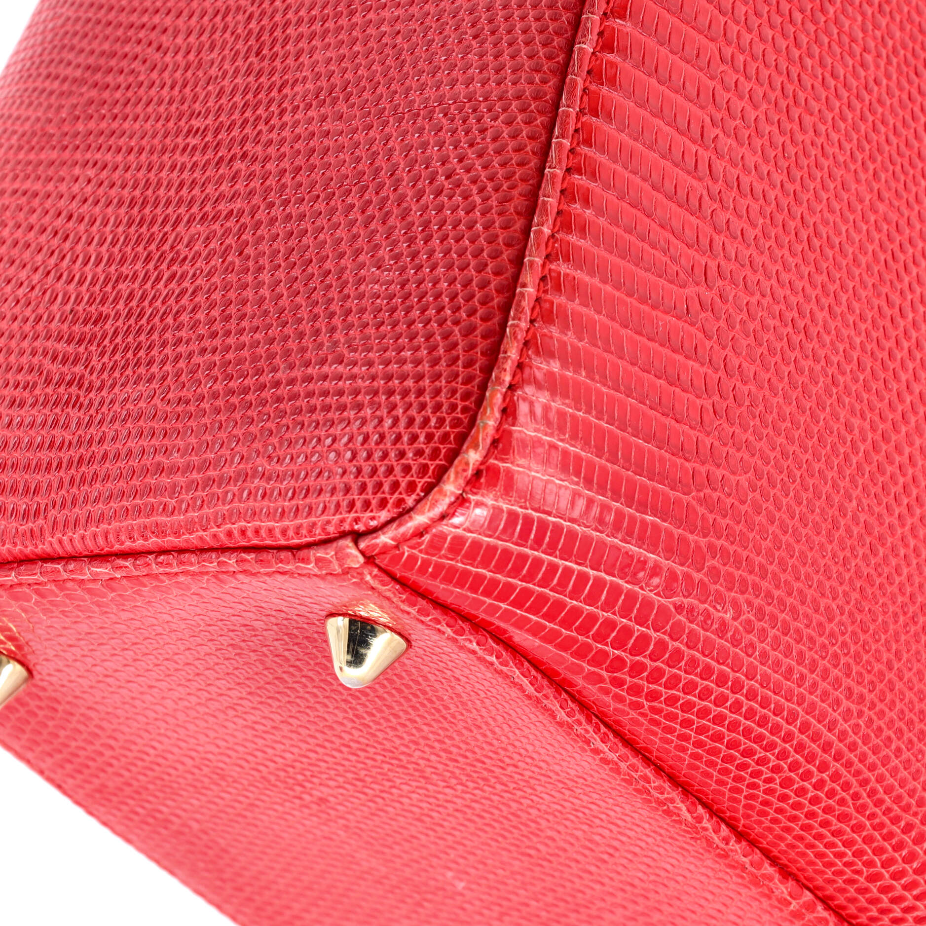 Christian Dior Lady Dior Bag Lizard Medium