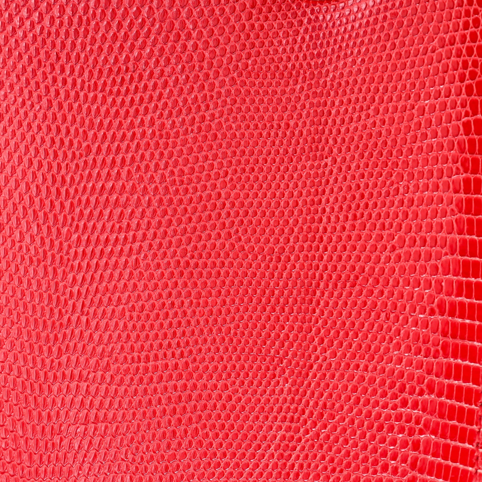 Christian Dior Lady Dior Bag Lizard Medium