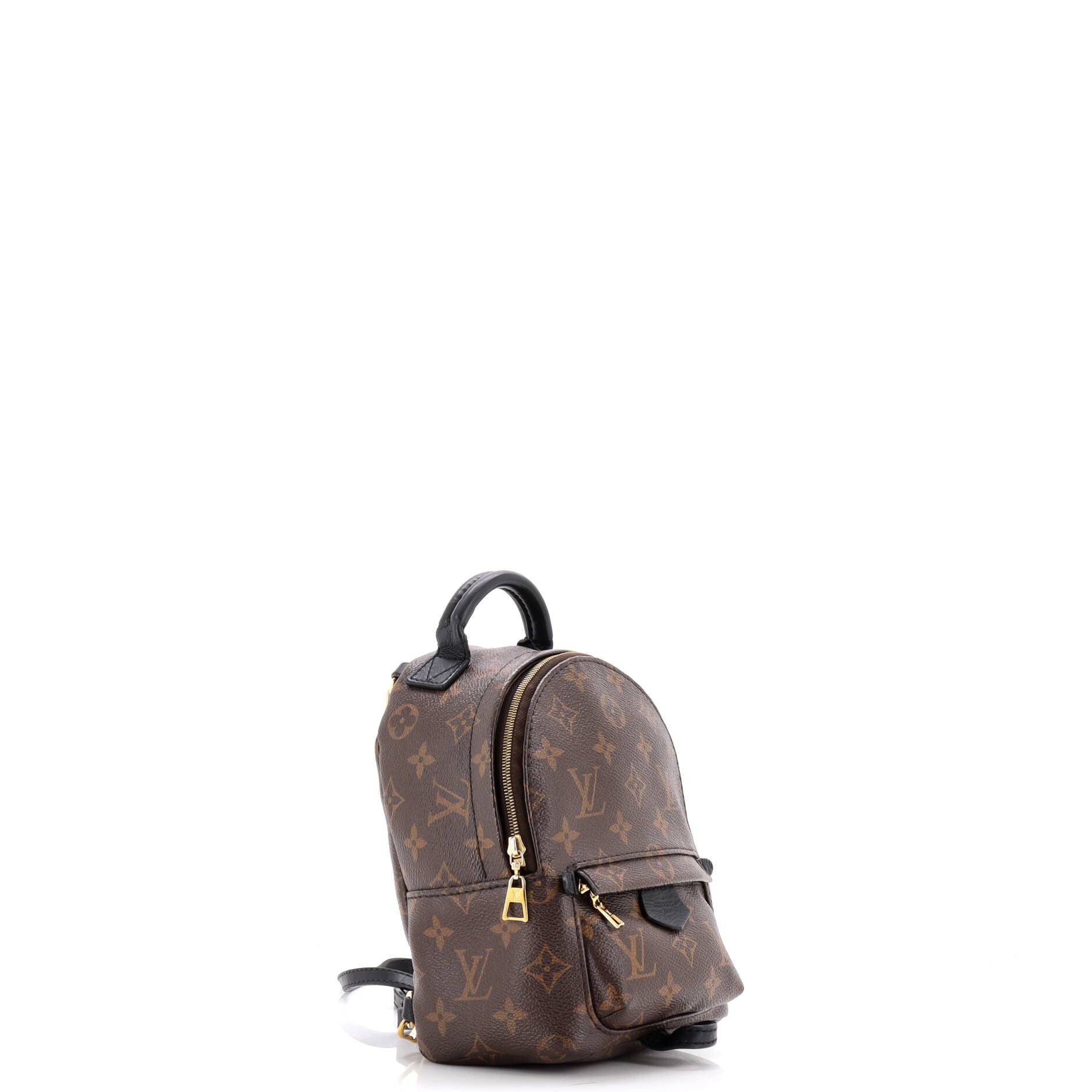 Louis Vuitton Palm Springs Backpack Monogram Canvas Mini