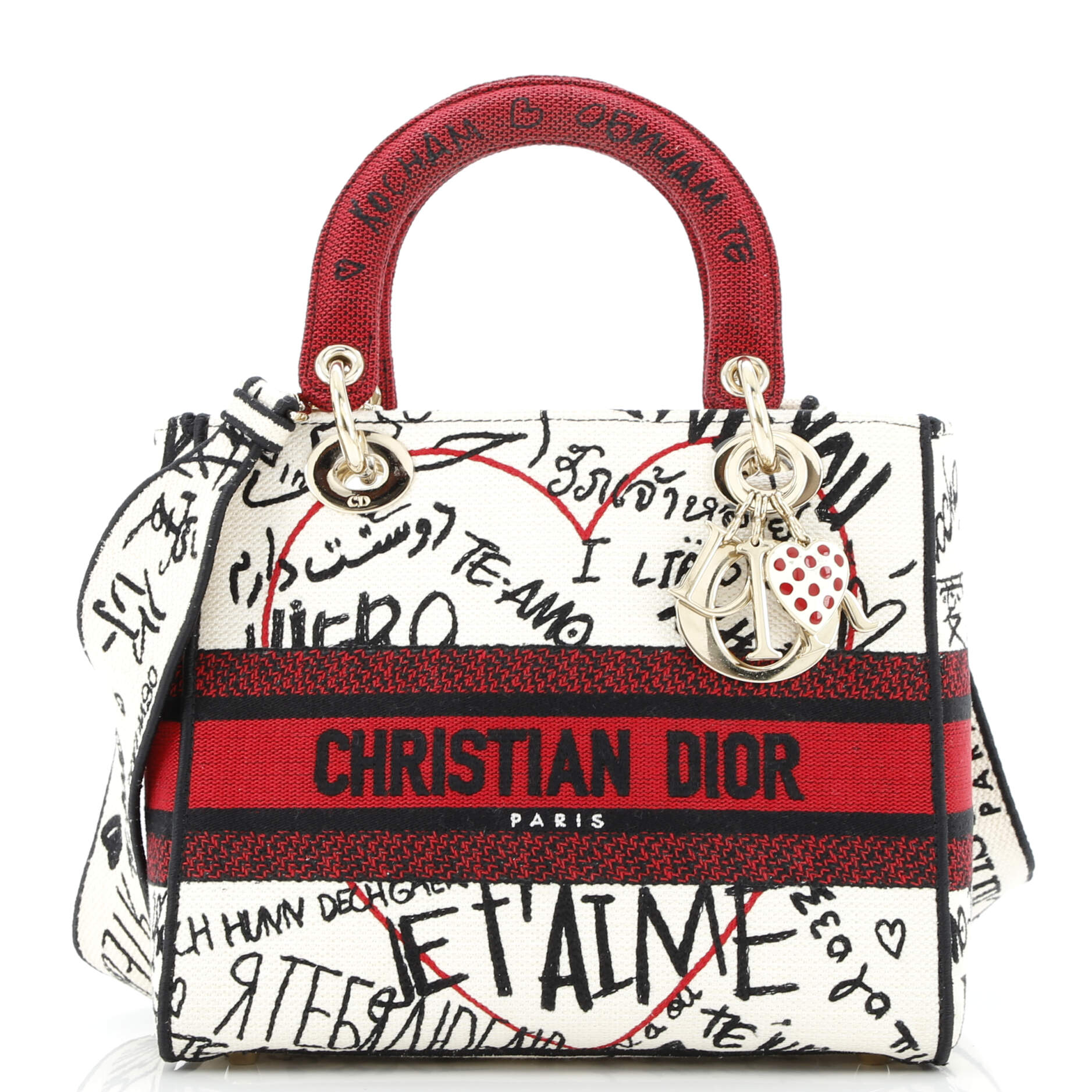 Christian Dior Lady D-Lite Bag Embroidered Canvas Medium