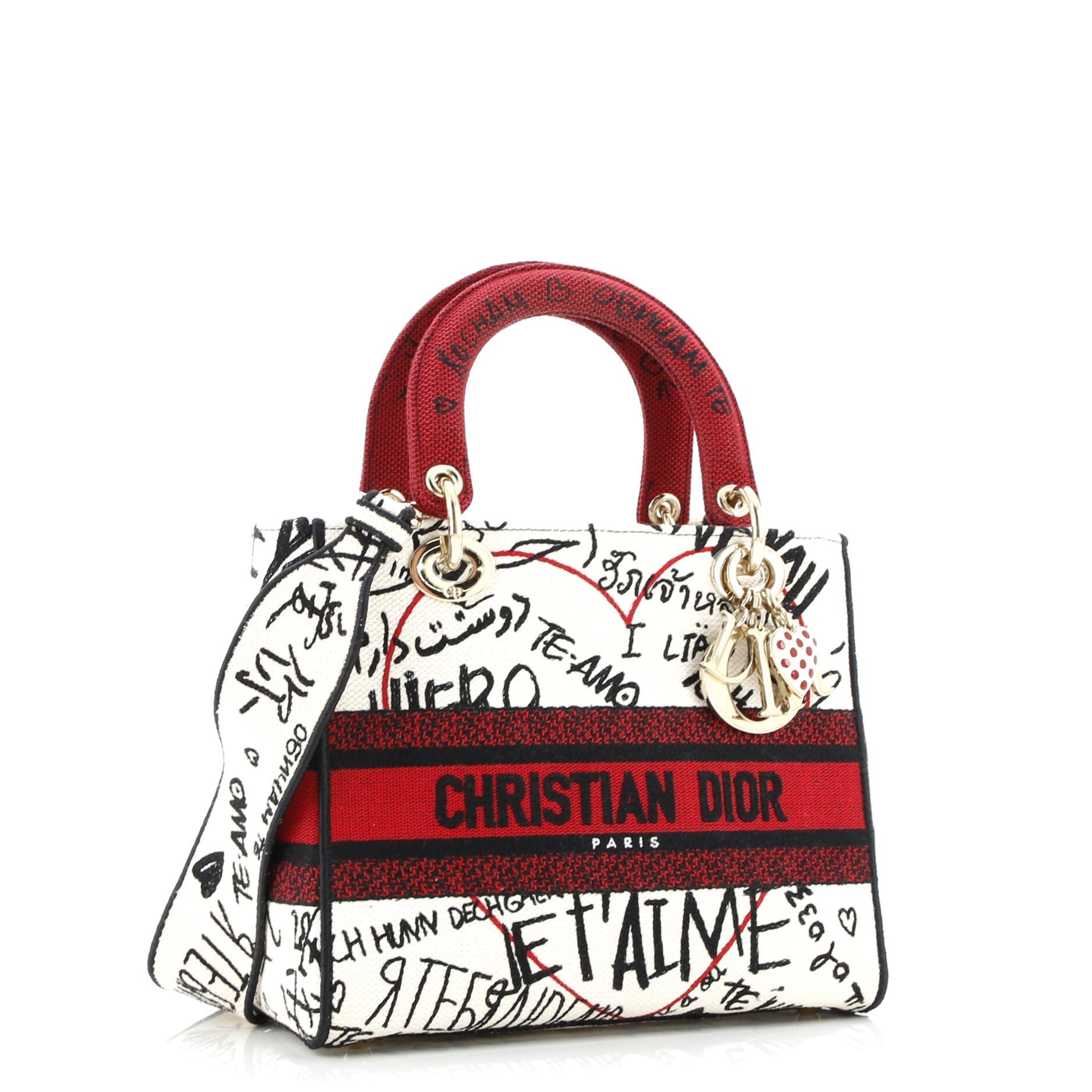 Christian Dior Lady D-Lite Bag Embroidered Canvas Medium