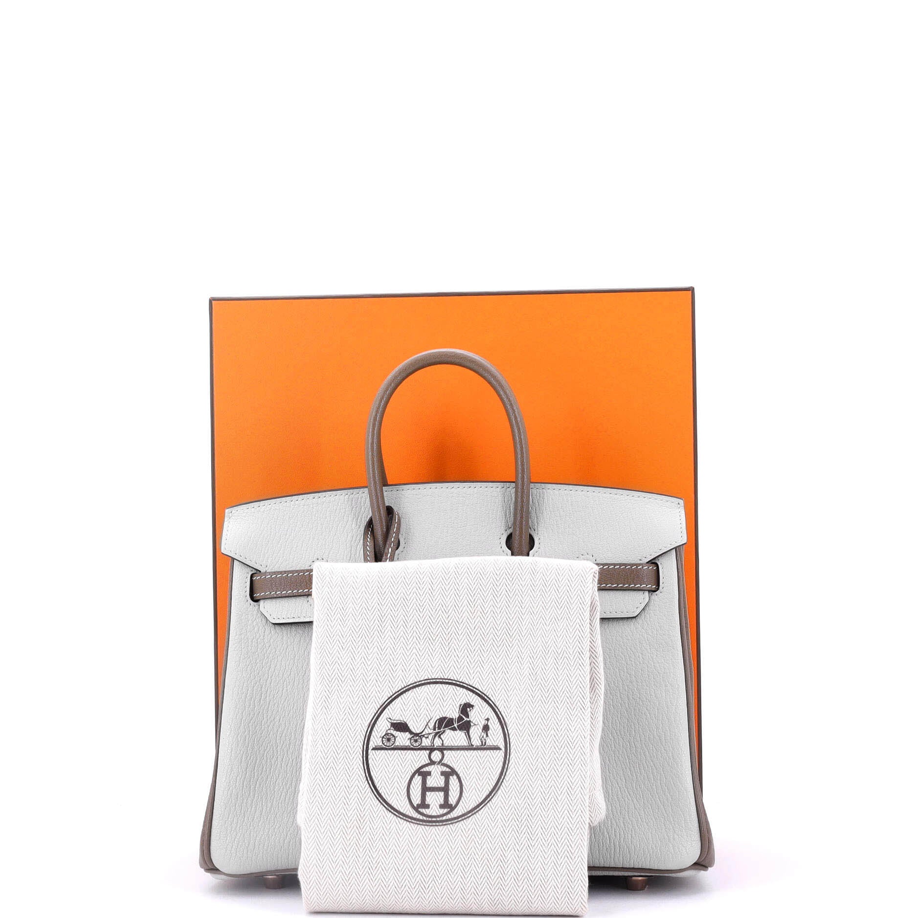 Hermes Birkin Handbag Bicolor Chevre Mysore with Rose Gold Hardware 25