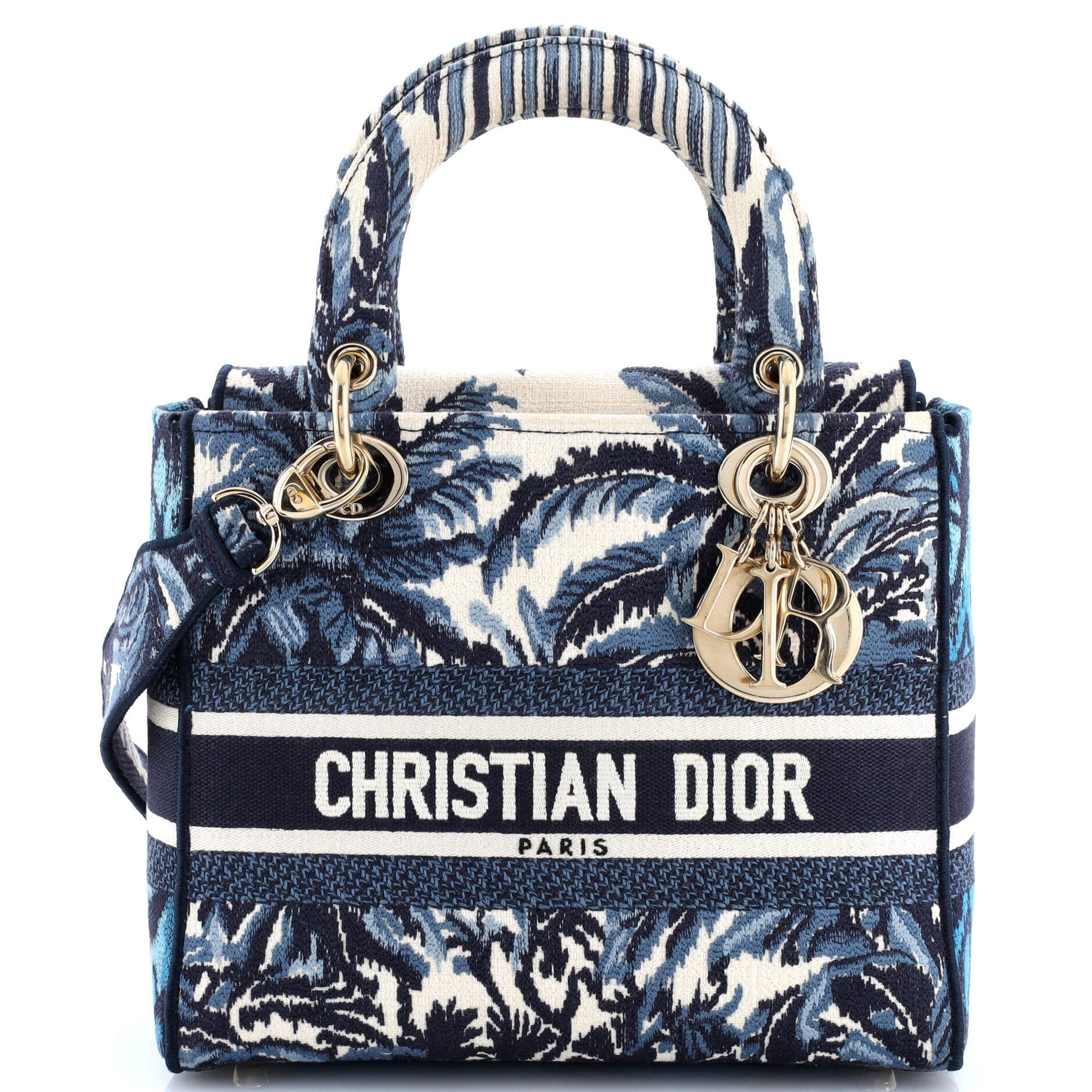 Christian Dior Toile de Jouy Lady D-Lite Bag Embroidered Canvas