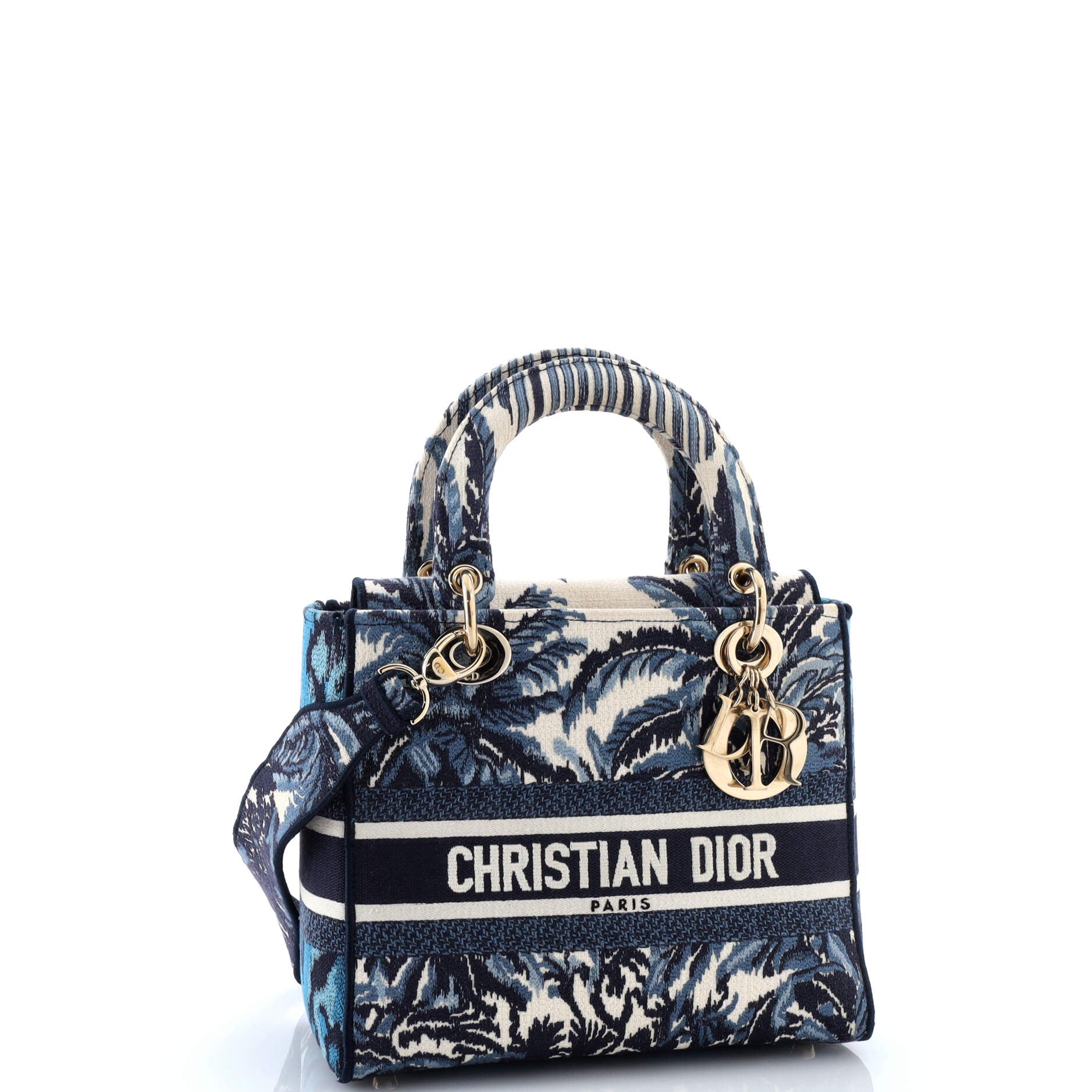 Christian Dior Toile de Jouy Lady D-Lite Bag Embroidered Canvas