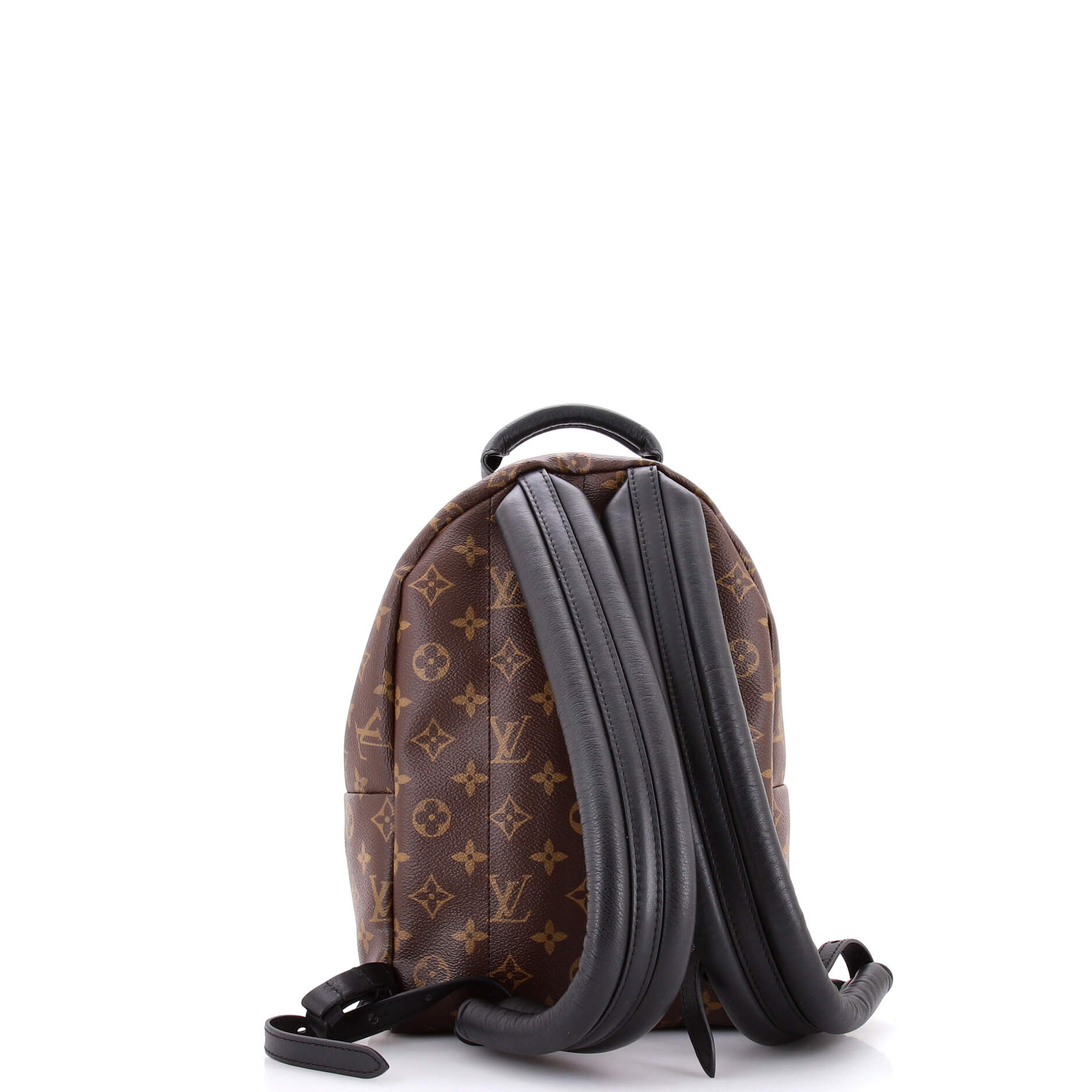 Louis Vuitton Palm Springs Backpack Reverse Monogram Canvas PM