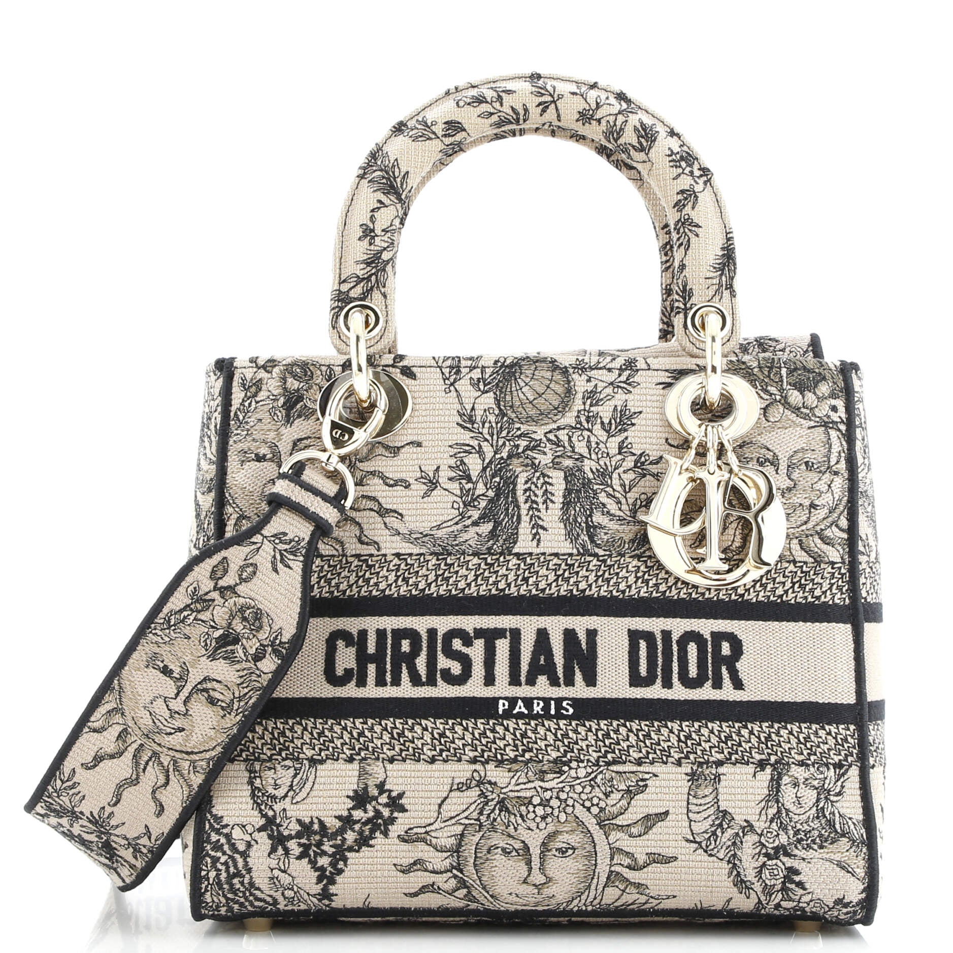 Christian Dior Lady D-Lite Bag Embroidered Canvas Medium