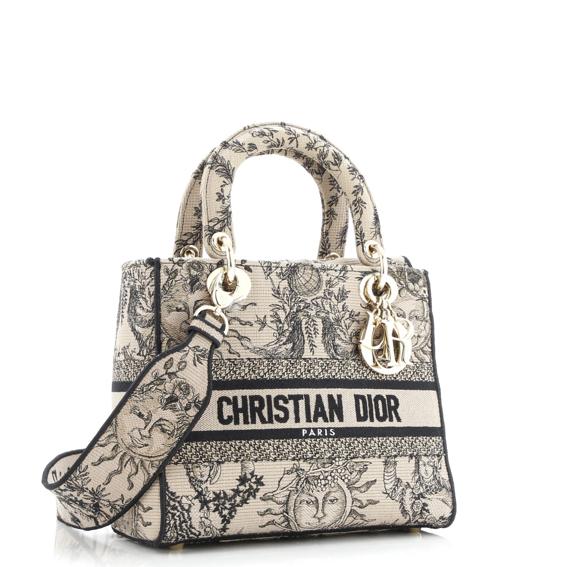 Christian Dior Lady D-Lite Bag Embroidered Canvas Medium