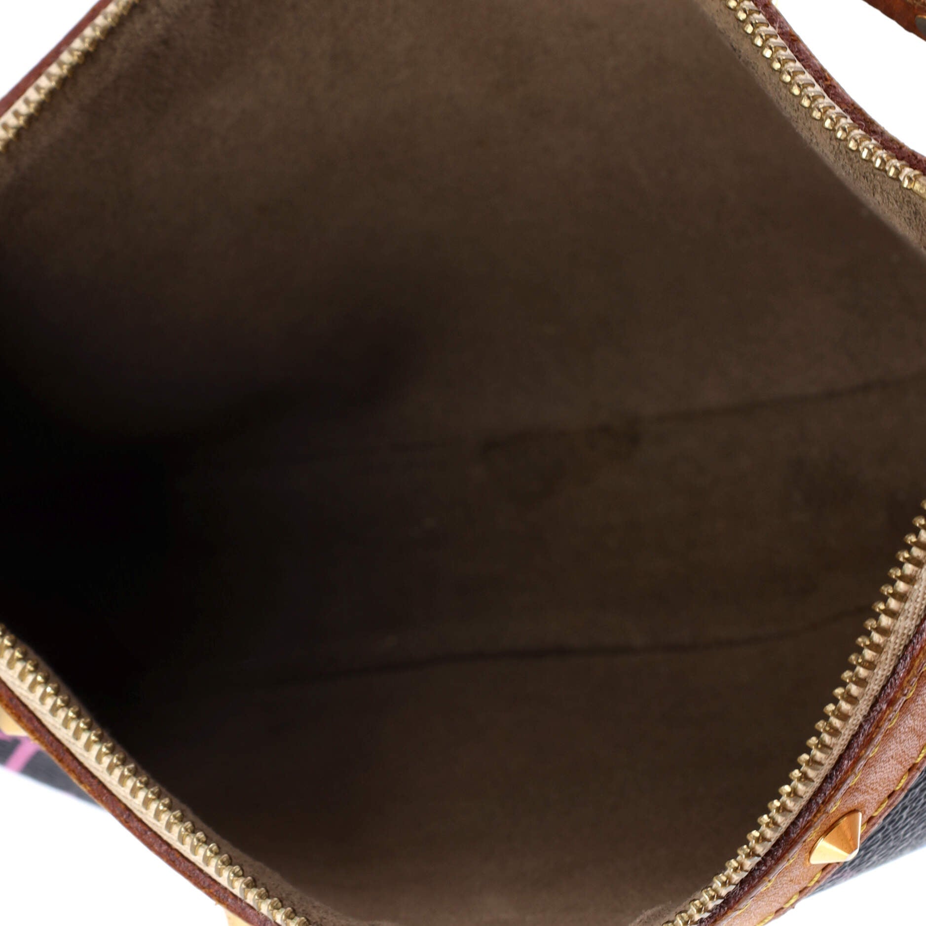 Louis Vuitton Pochette Accessoires Monogram Multicolor