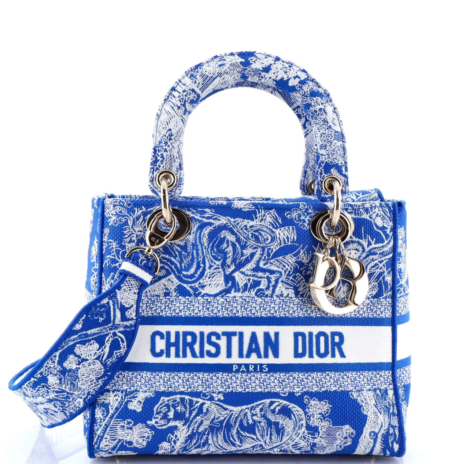 Christian Dior Toile de Jouy Lady D-Lite Bag Embroidered Canvas