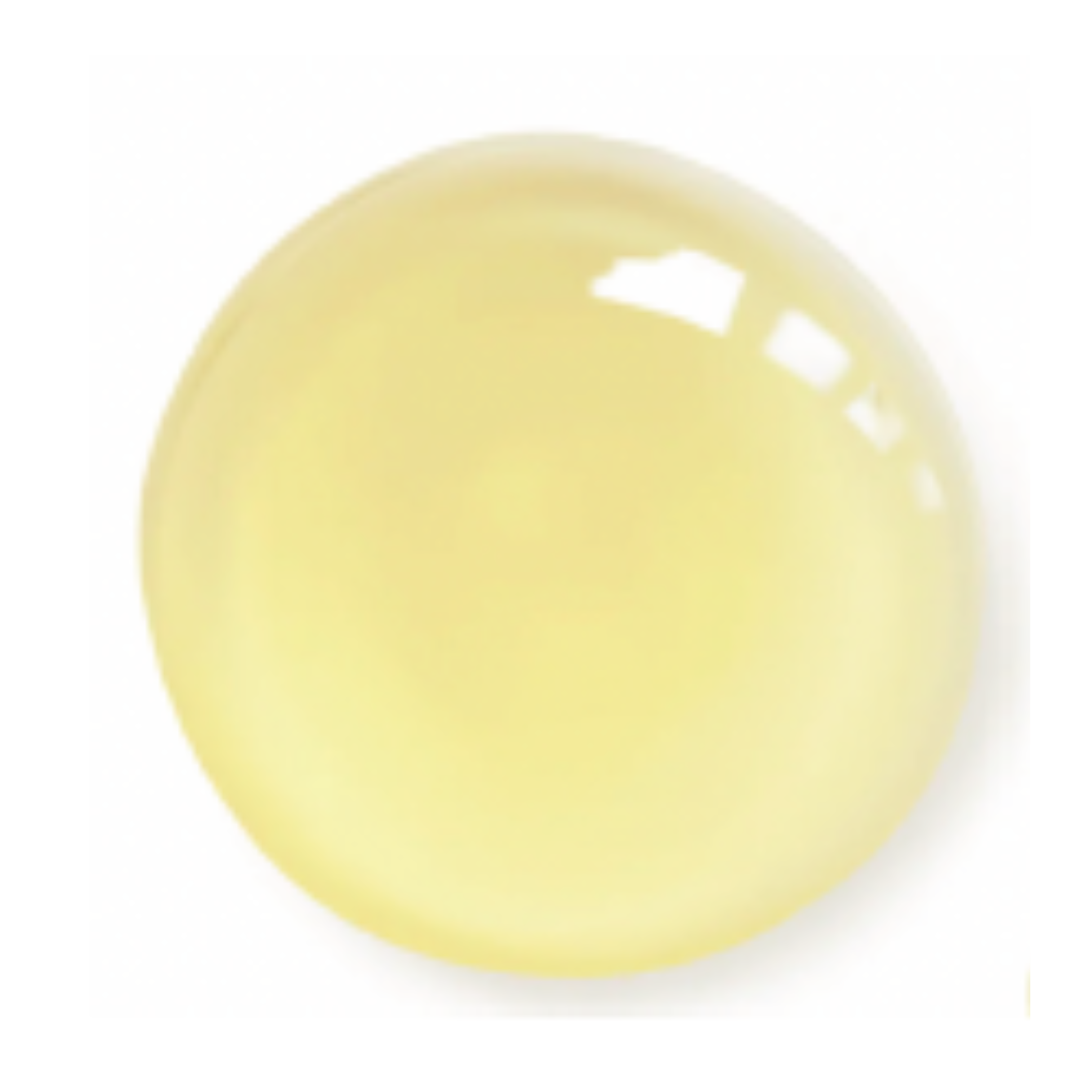 VELVET Advanced Antioxidant Face Oil