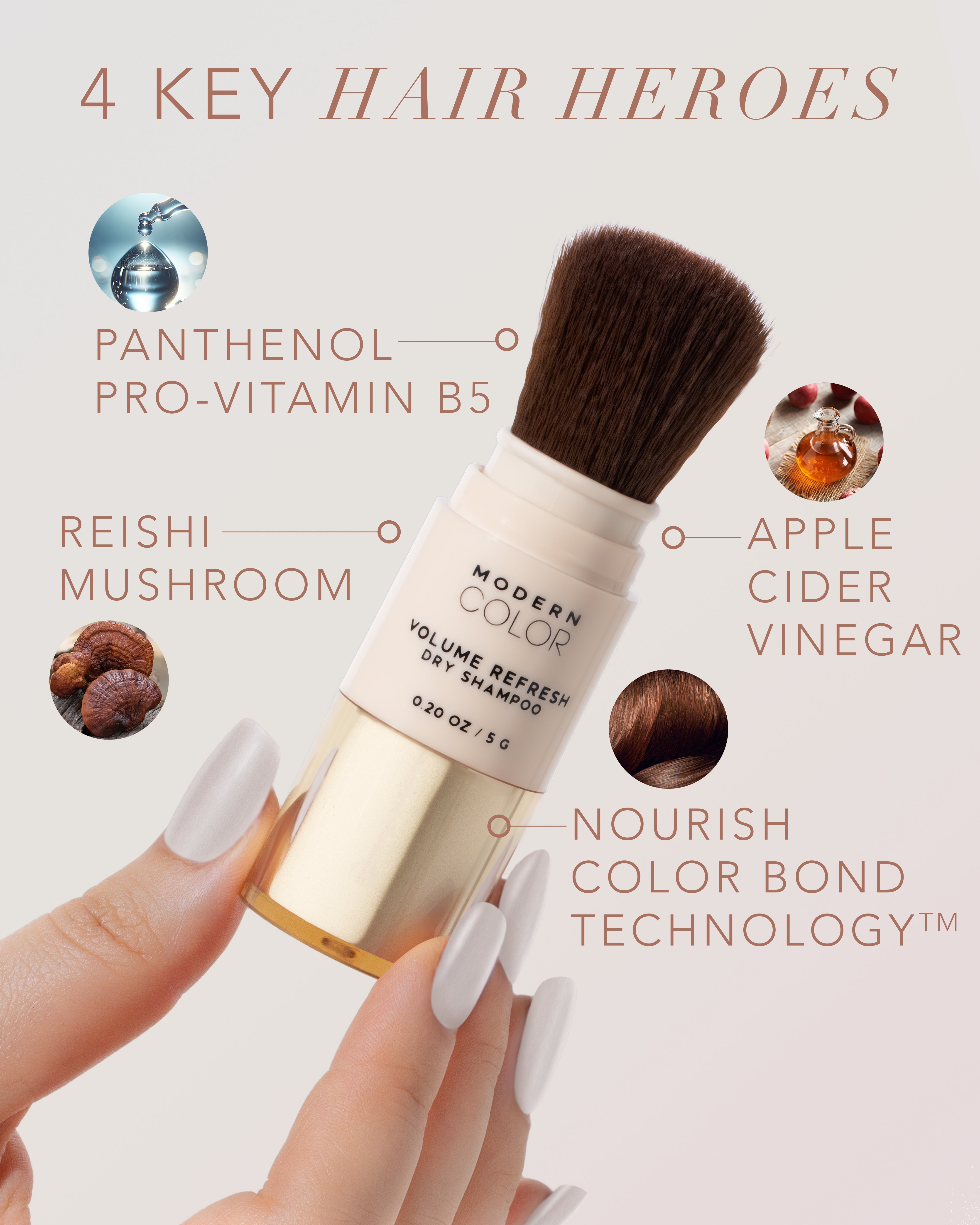 Volume Refresh Dry Shampoo Powder Brush