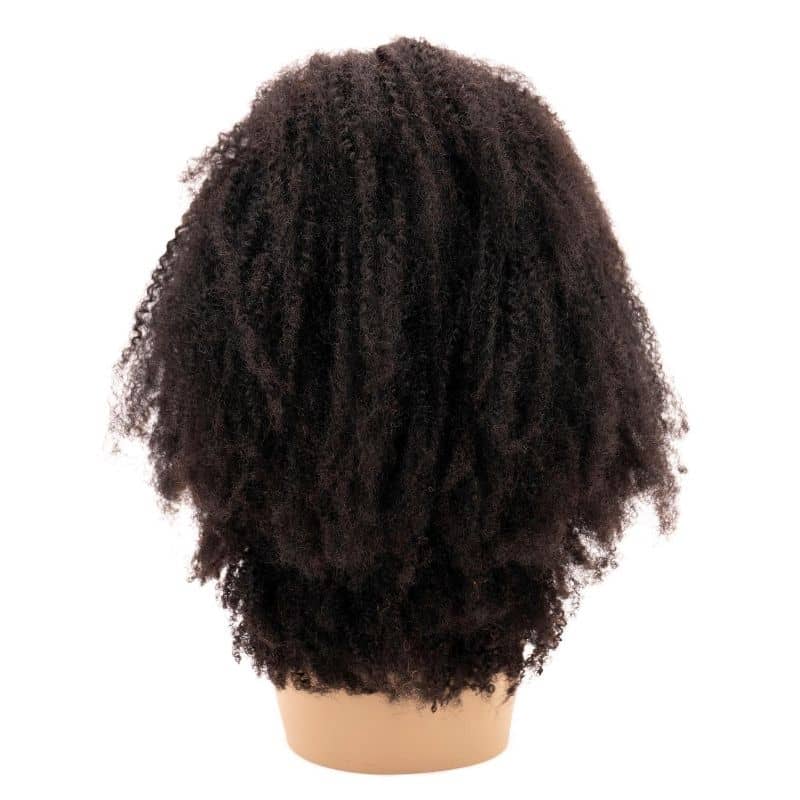 Afro Kinky Curly 4x4 Transparent Lace 100% Human Hair Closure Wig
