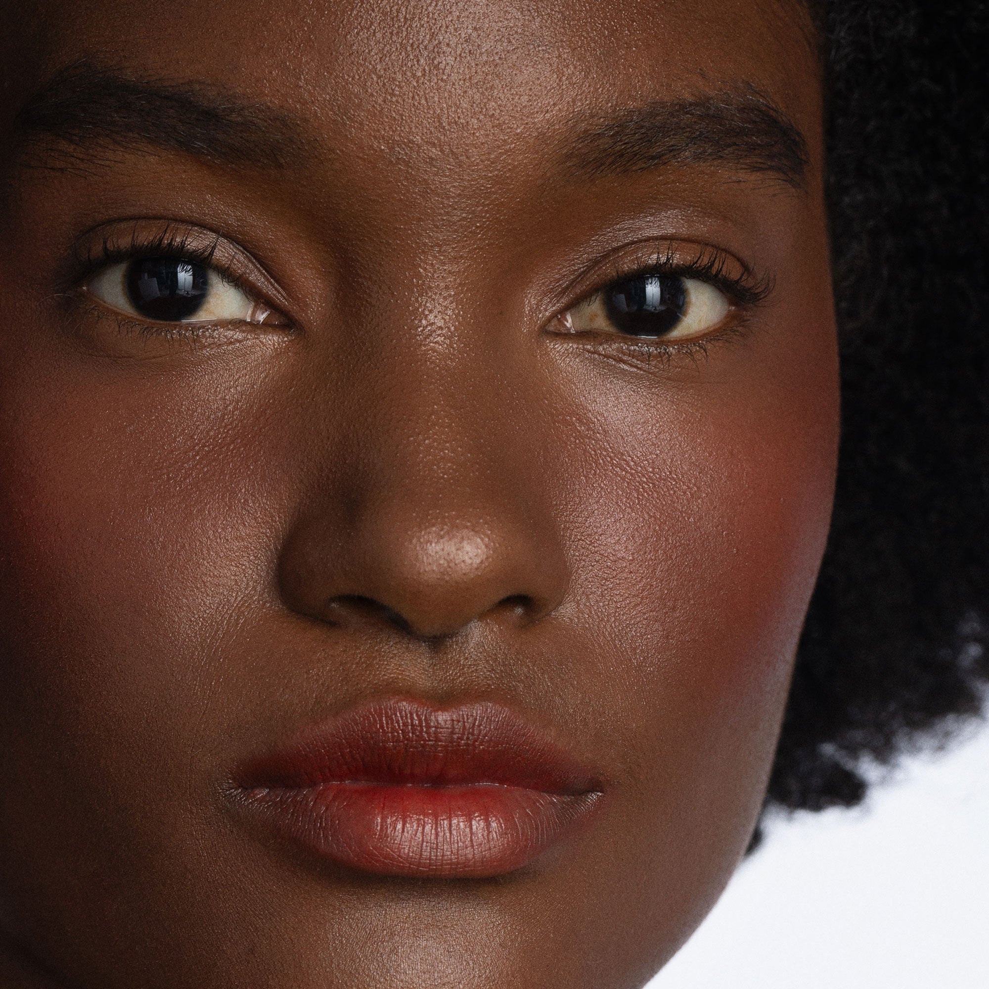 MELTING LIP POWDER by CLE Cosmetics