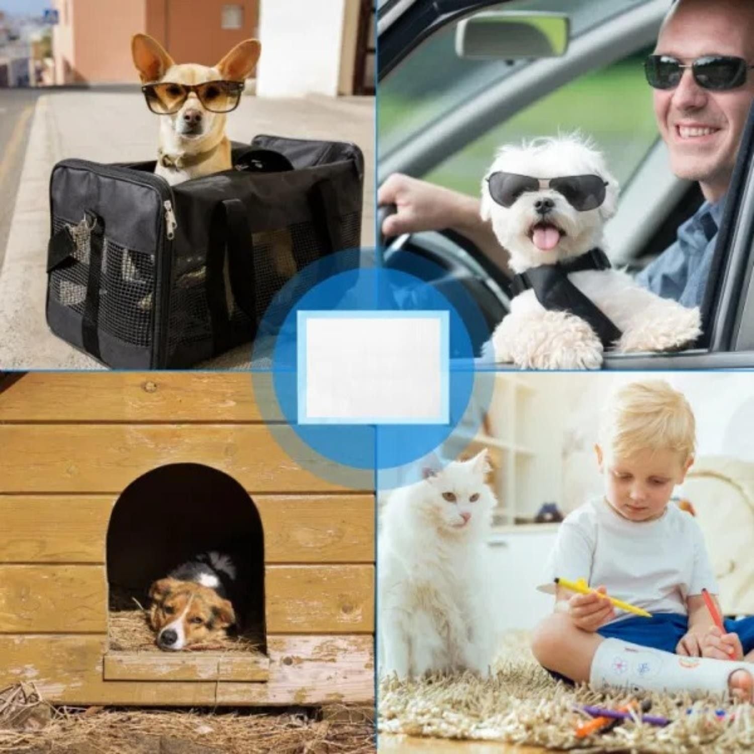 50Pcs/Set Dog Training Pads Puppy Pee Pads Cat Wee Mats 24x18In M