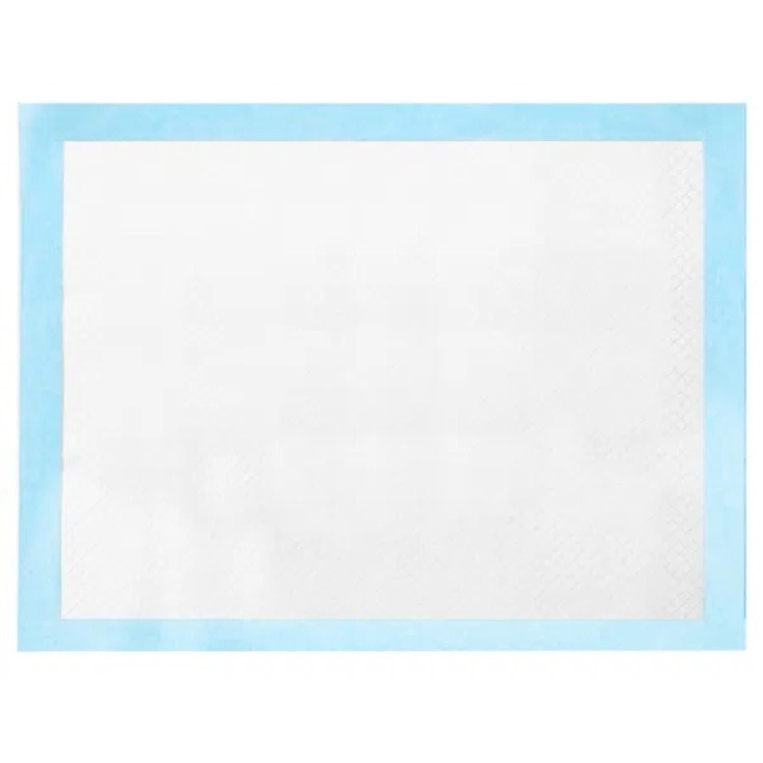 50Pcs/Set Dog Training Pads Puppy Pee Pads Cat Wee Mats 24x18In M