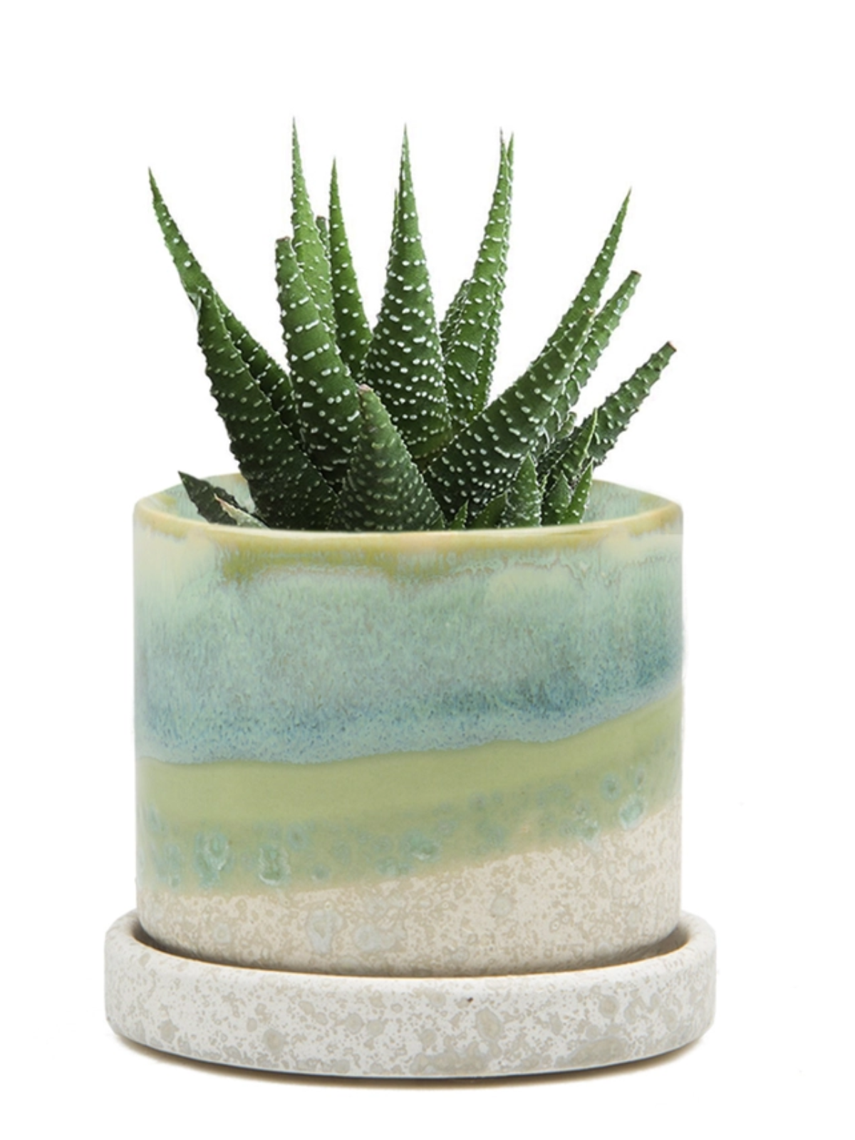 Cement Green Ceramic Plant Pot and Saucer
