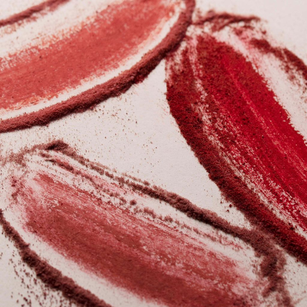 MELTING LIP POWDER MINI SET by CLE Cosmetics