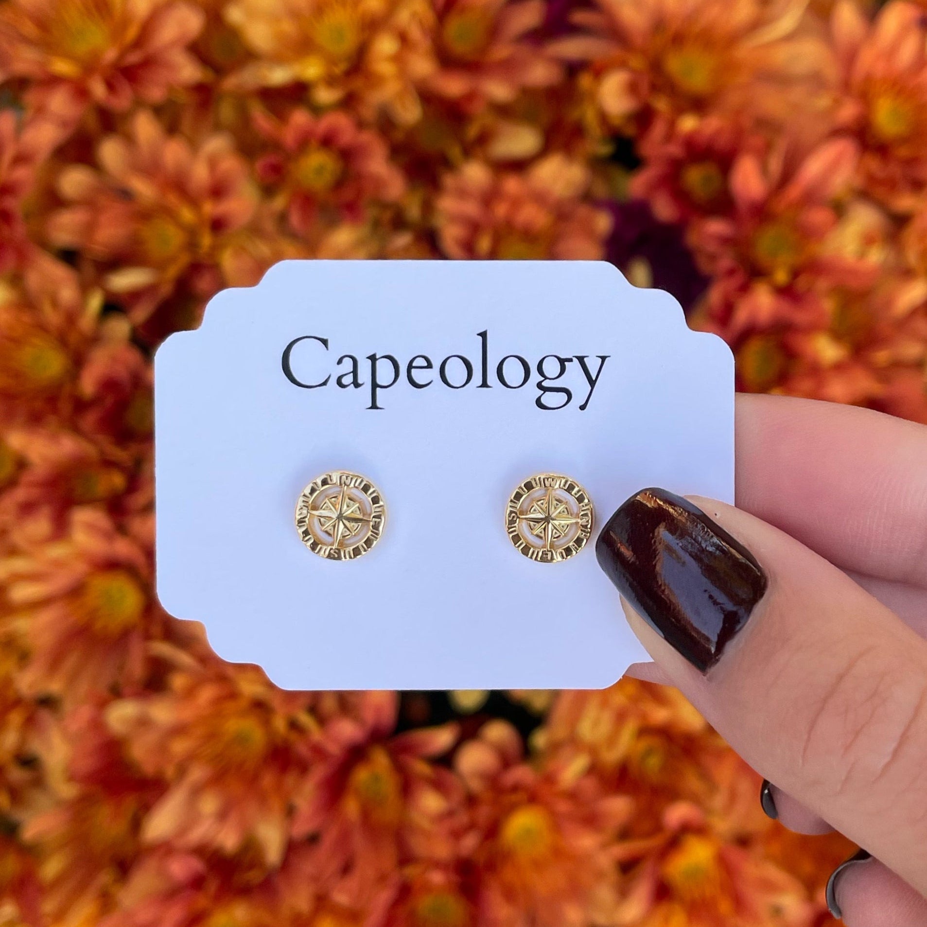Compass Earrings