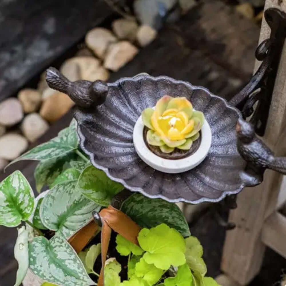 Antique-Style Wall-Mounted Bird Feeder with Birds