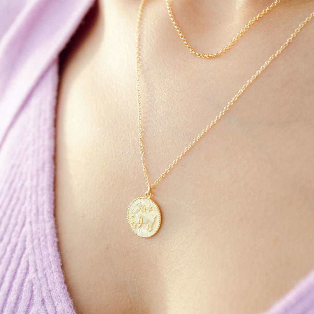 Aries Zodiac Necklace