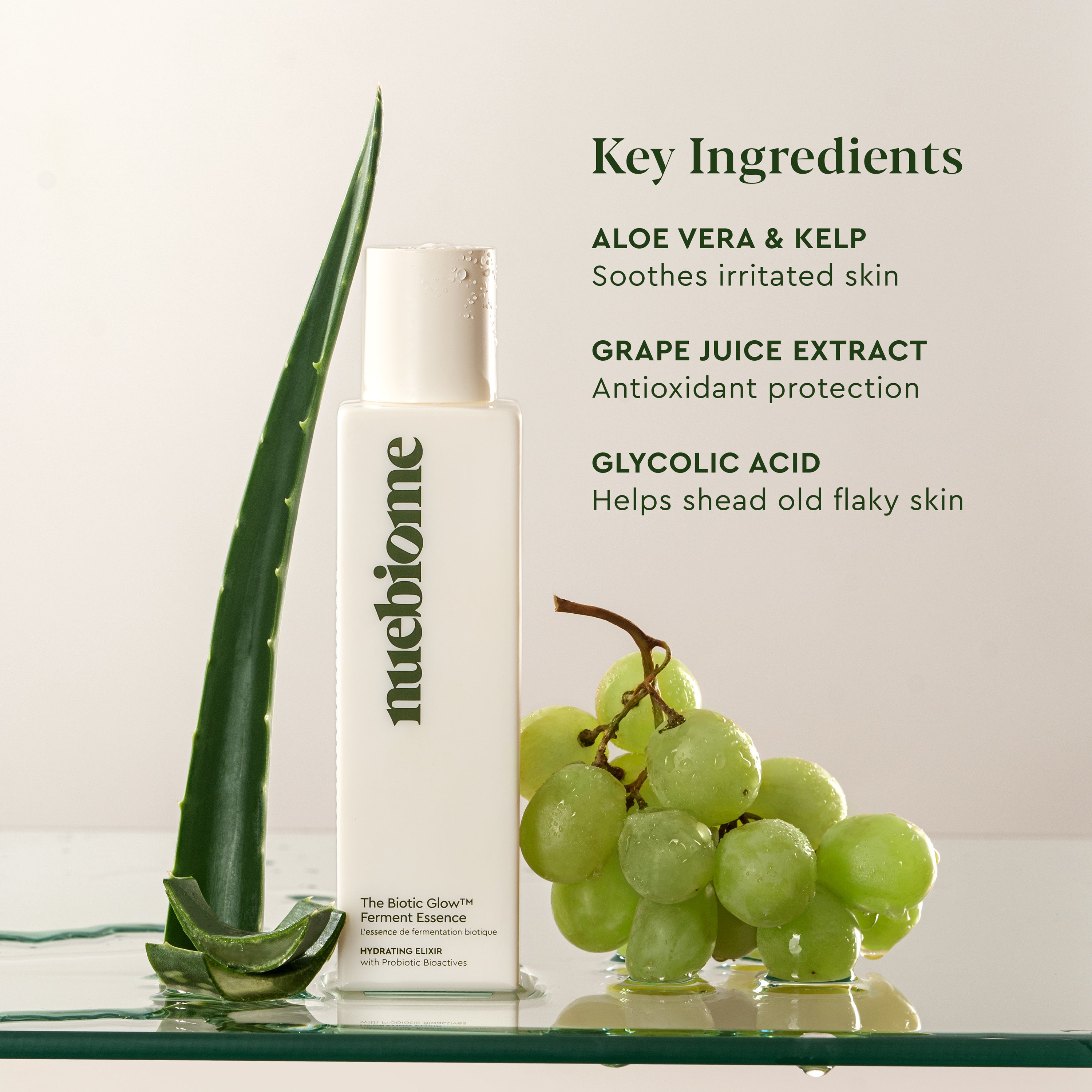 The Biotic Glow™ Ferment Essence