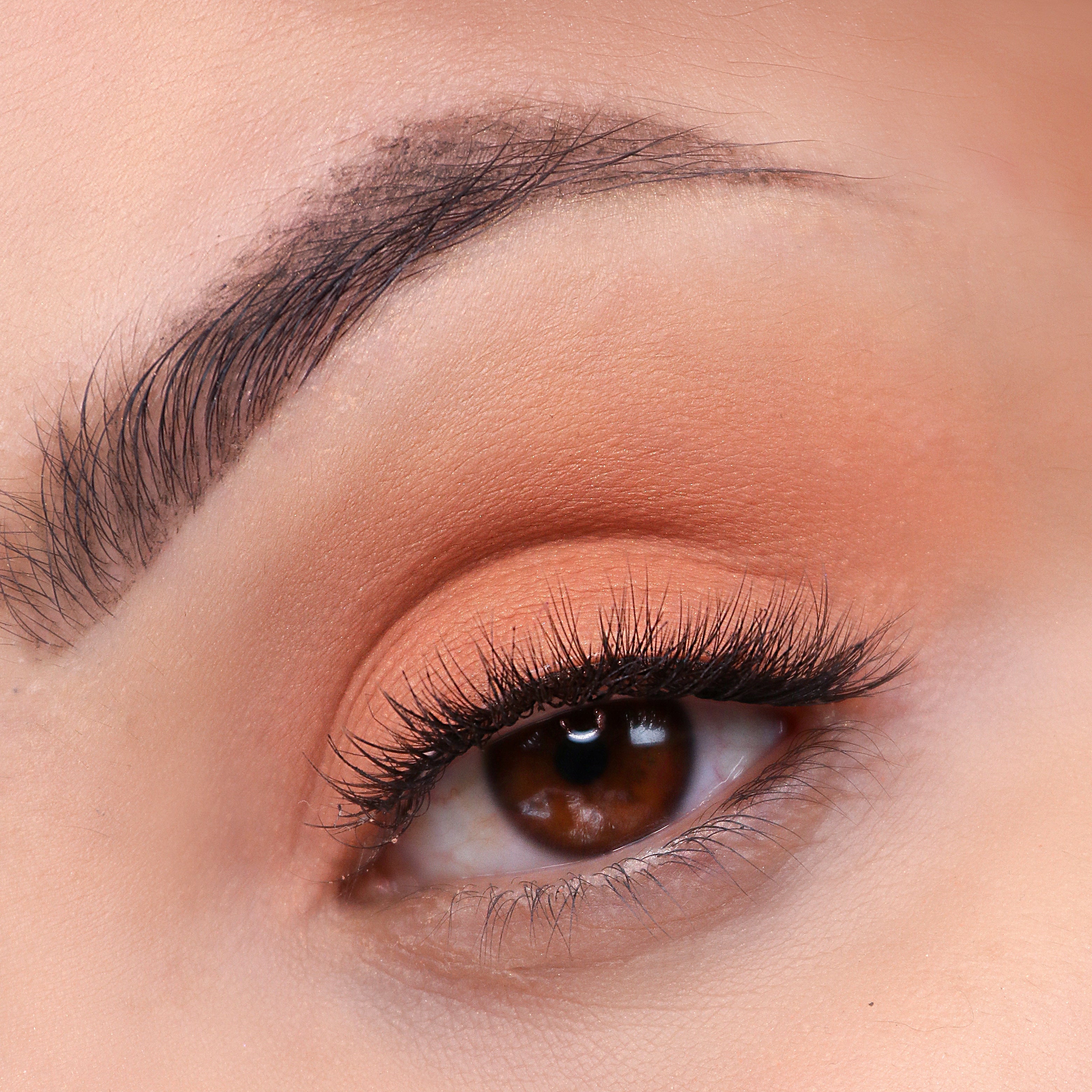 Signature Palette - Getaway