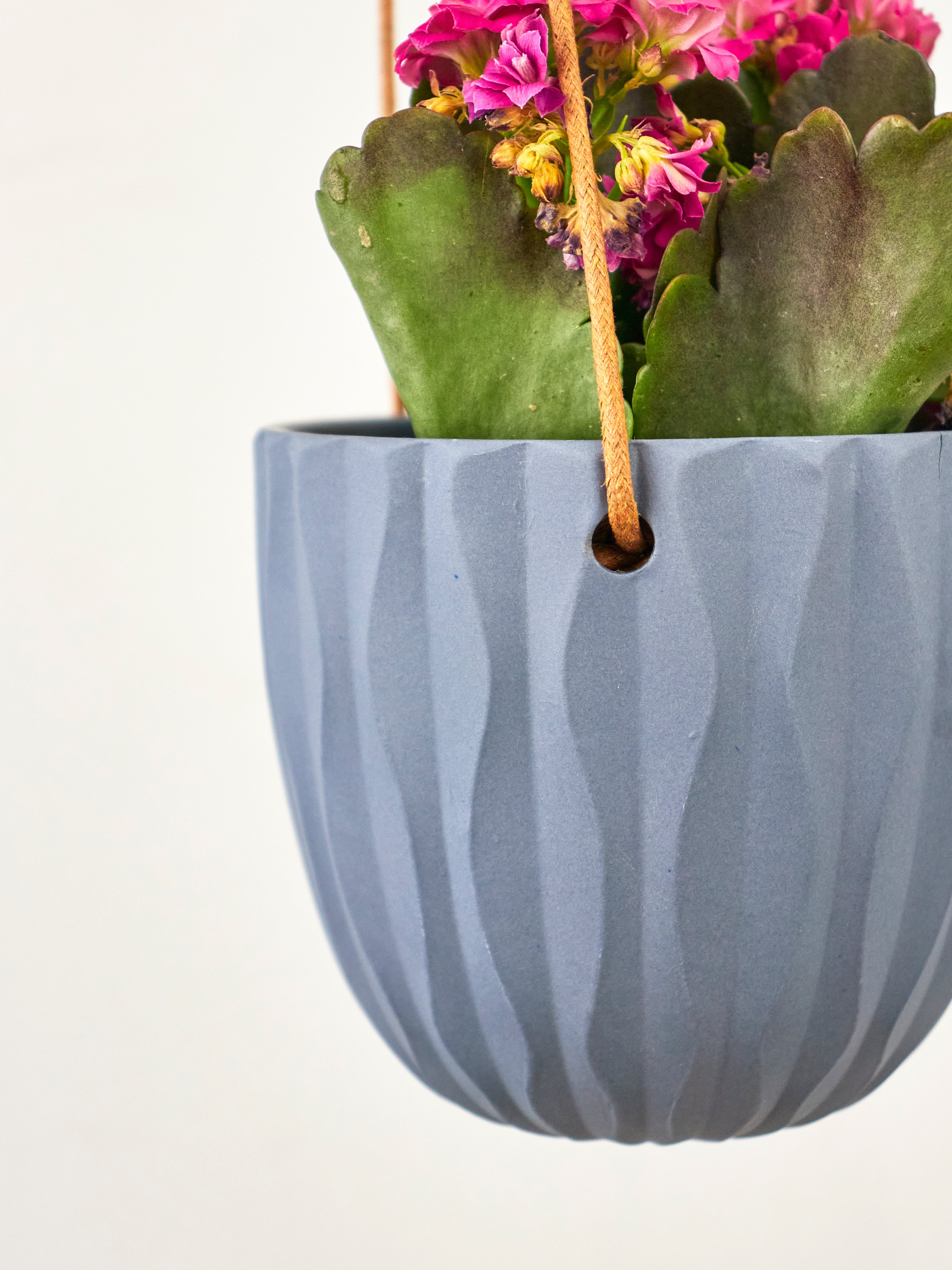 Virago Modern Hanging Planter- Waves