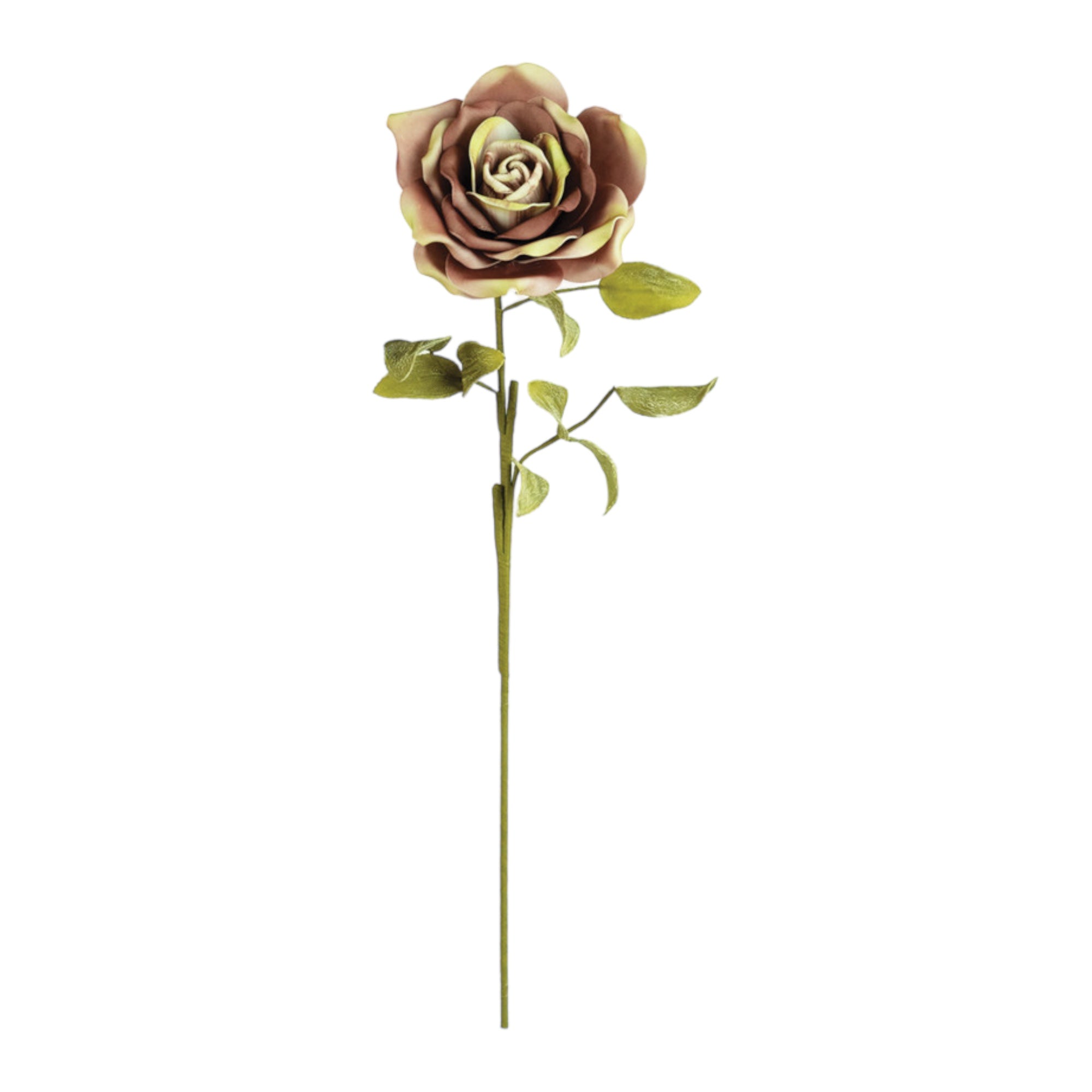 Foam Blush Rose Stem