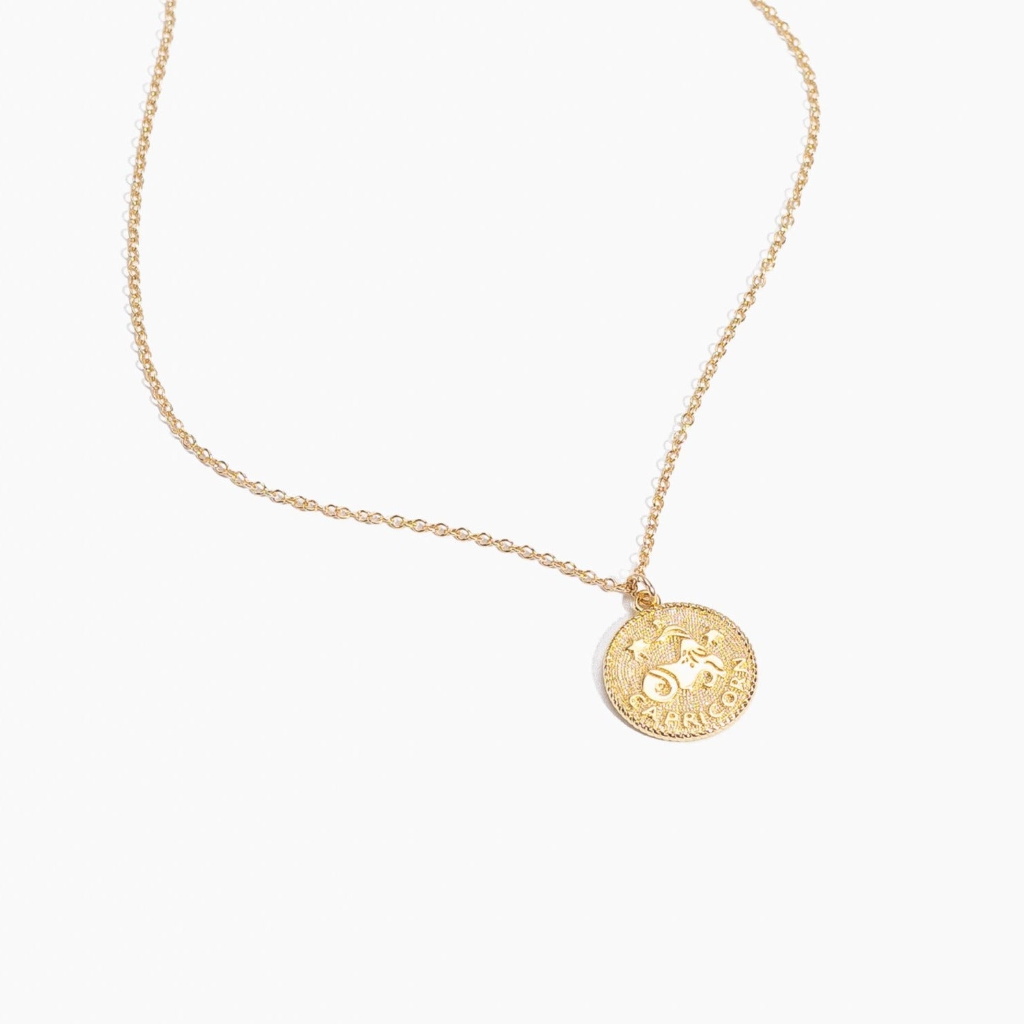 Capricorn Zodiac Necklace