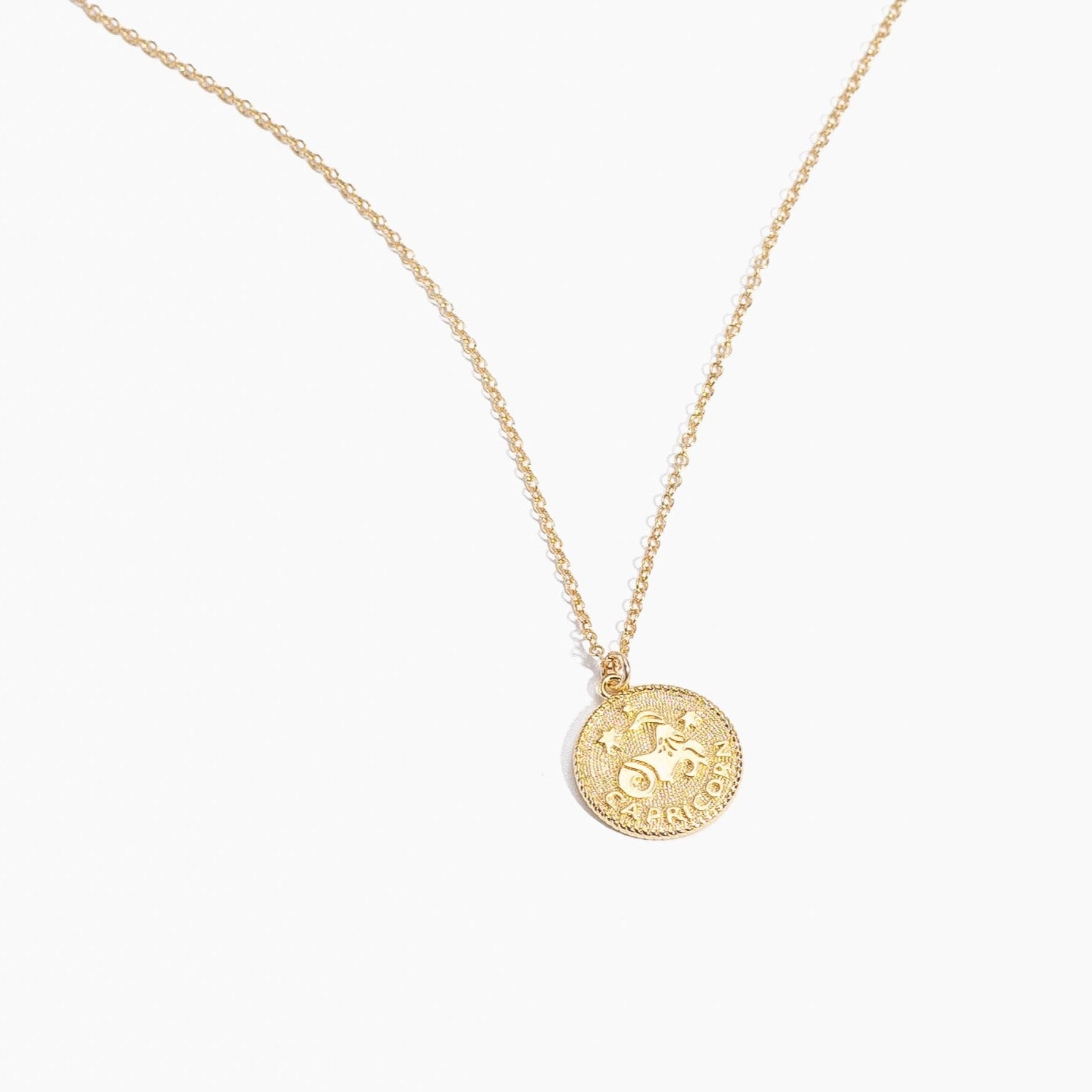 Capricorn Zodiac Necklace