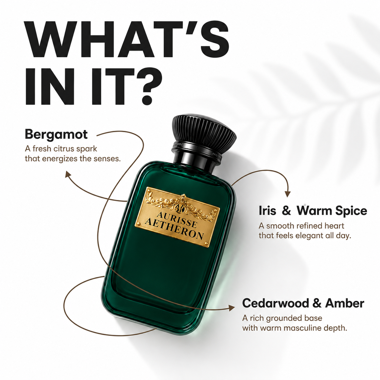 Aurisse Aetheron — Woody Extrait de Parfum for Men, 100ml