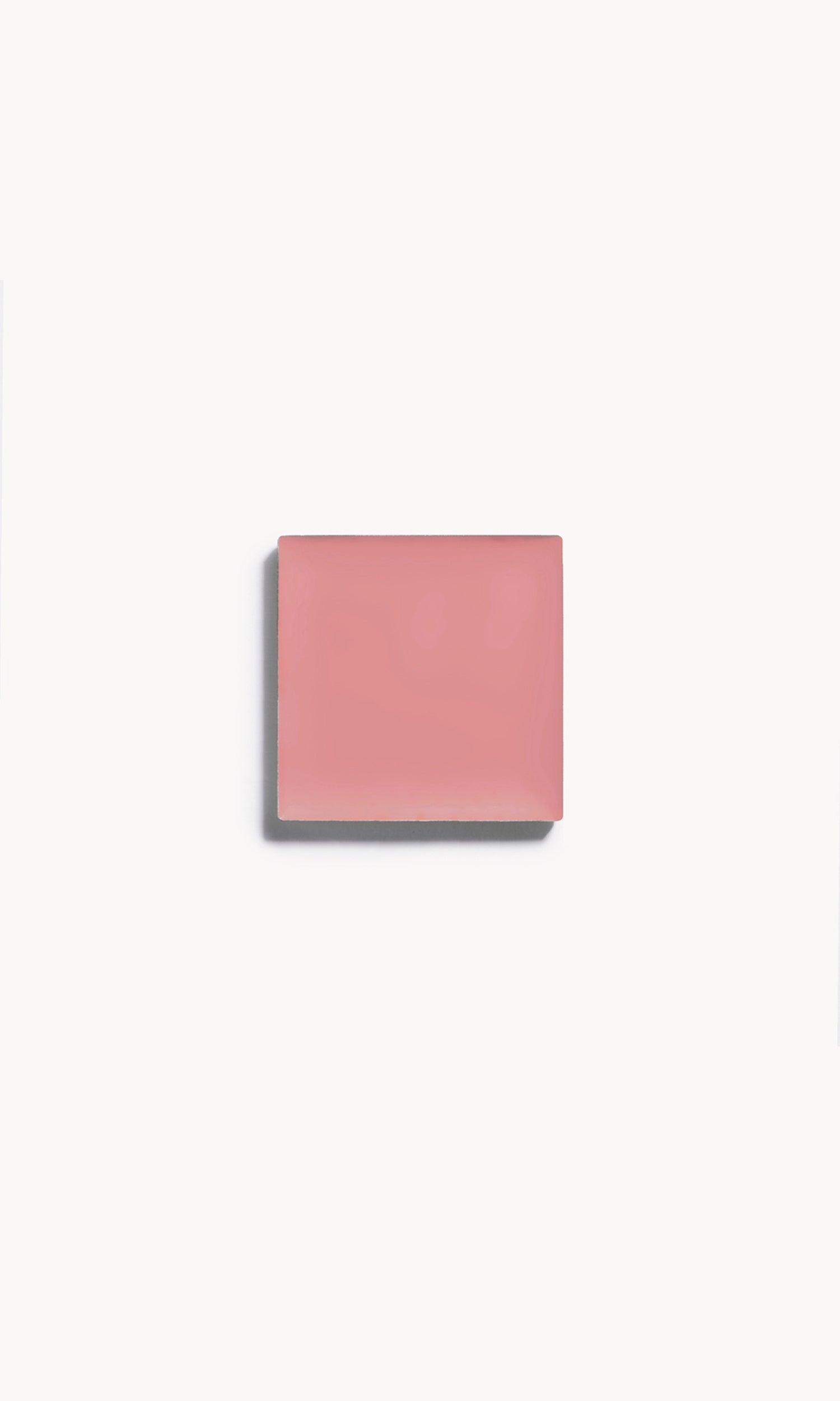 Cream Blush--Abundance