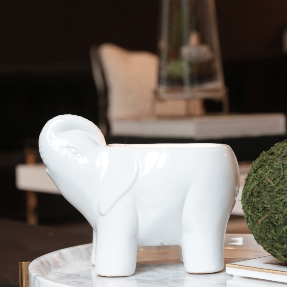 White Elephant Candle