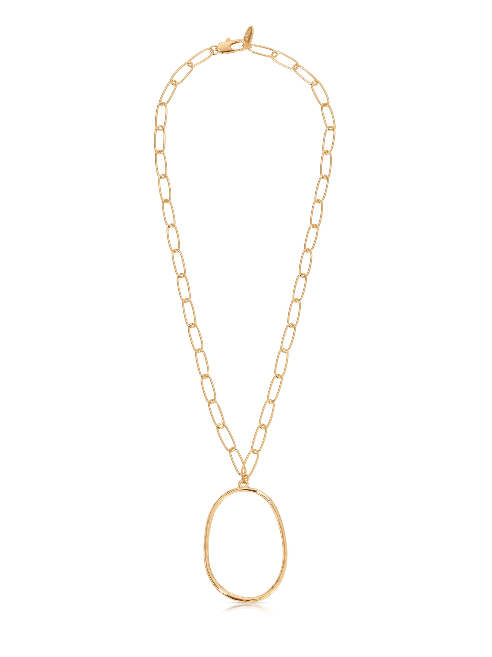 Large Oval Pendant Chain Link Necklace