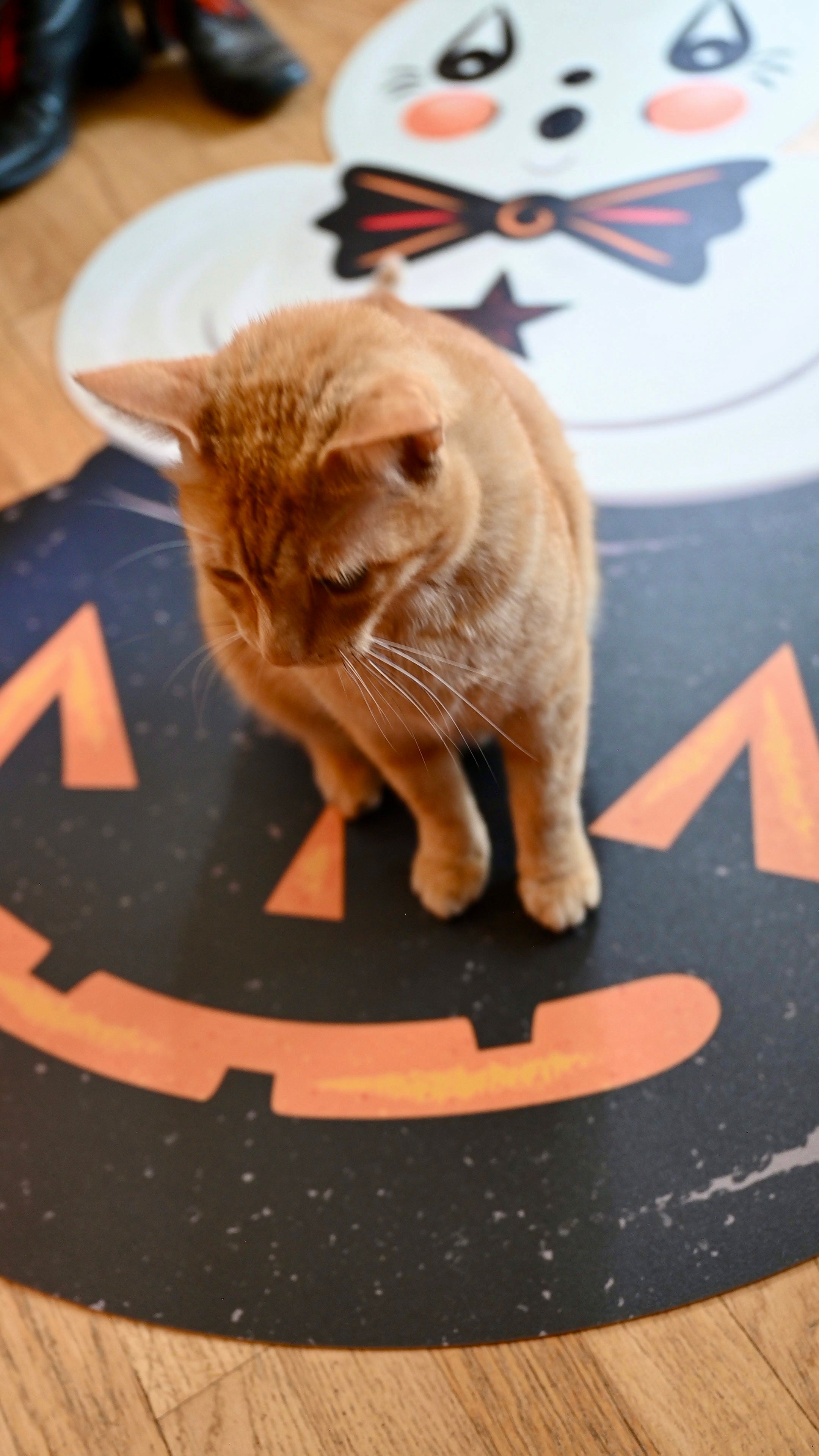 Ghostie in Caudron 56" Die Cut Vinyl Halloween Floor Decor by Johanna Parker