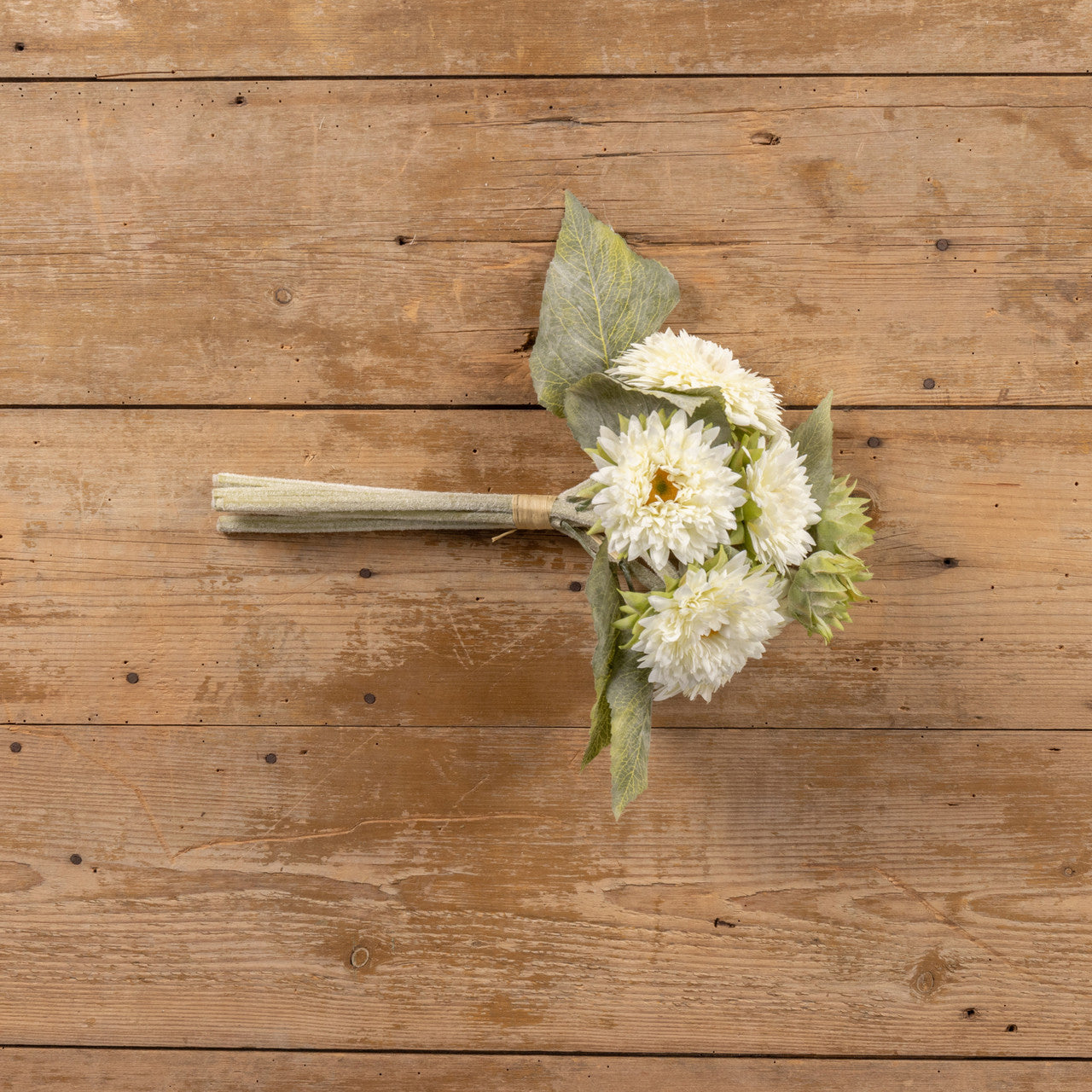 Cream Gerbera Daisy Bouquet