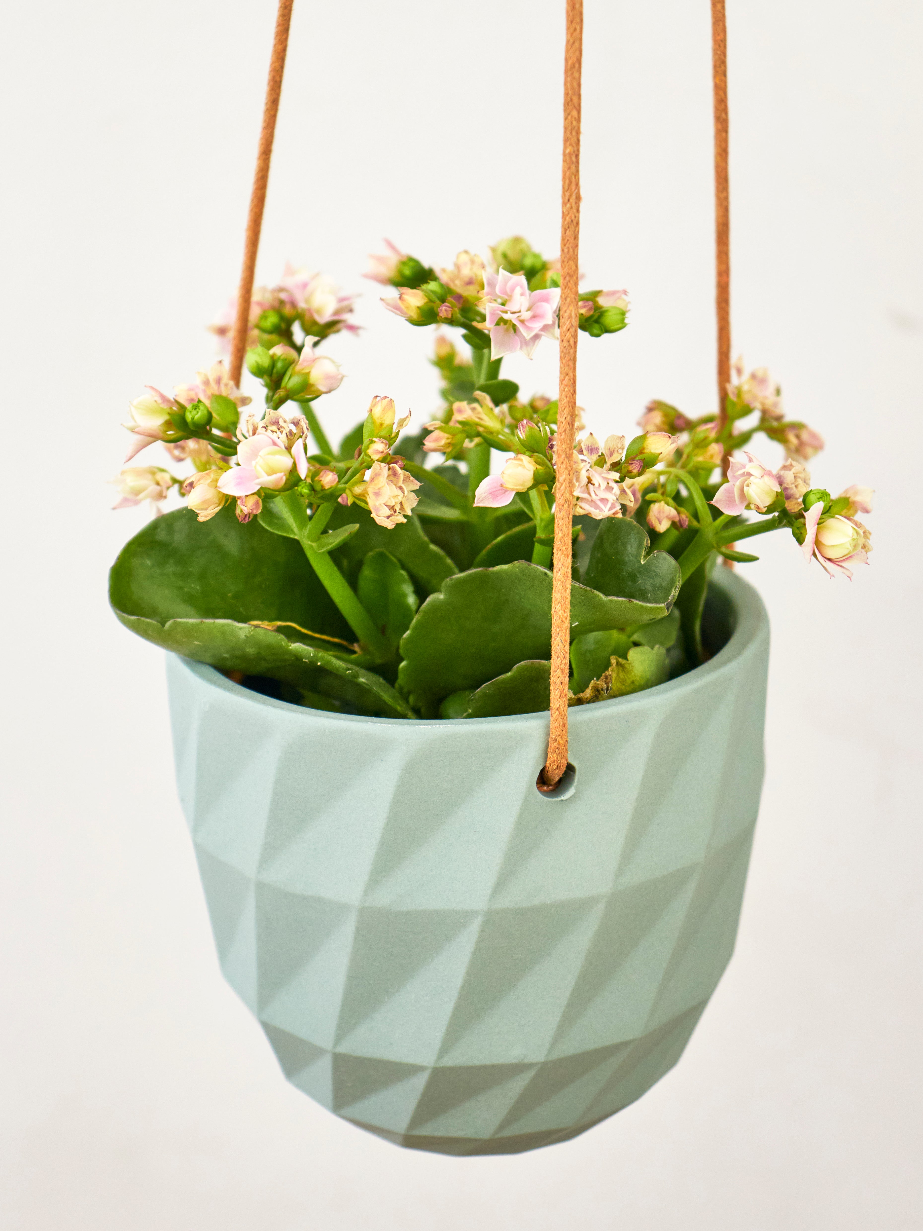 Virago Modern Hanging Planter- Grid