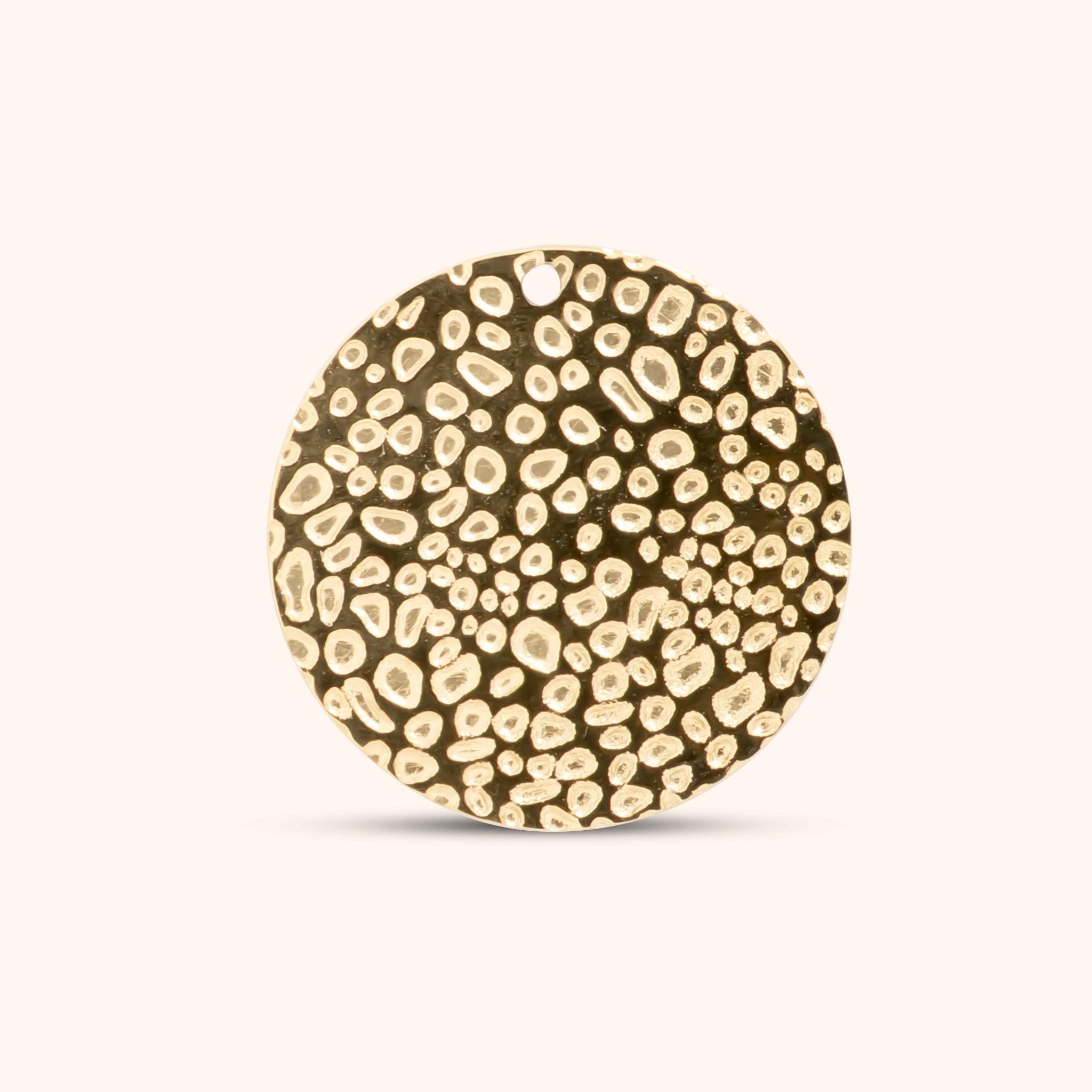 Pebble Disc Charm