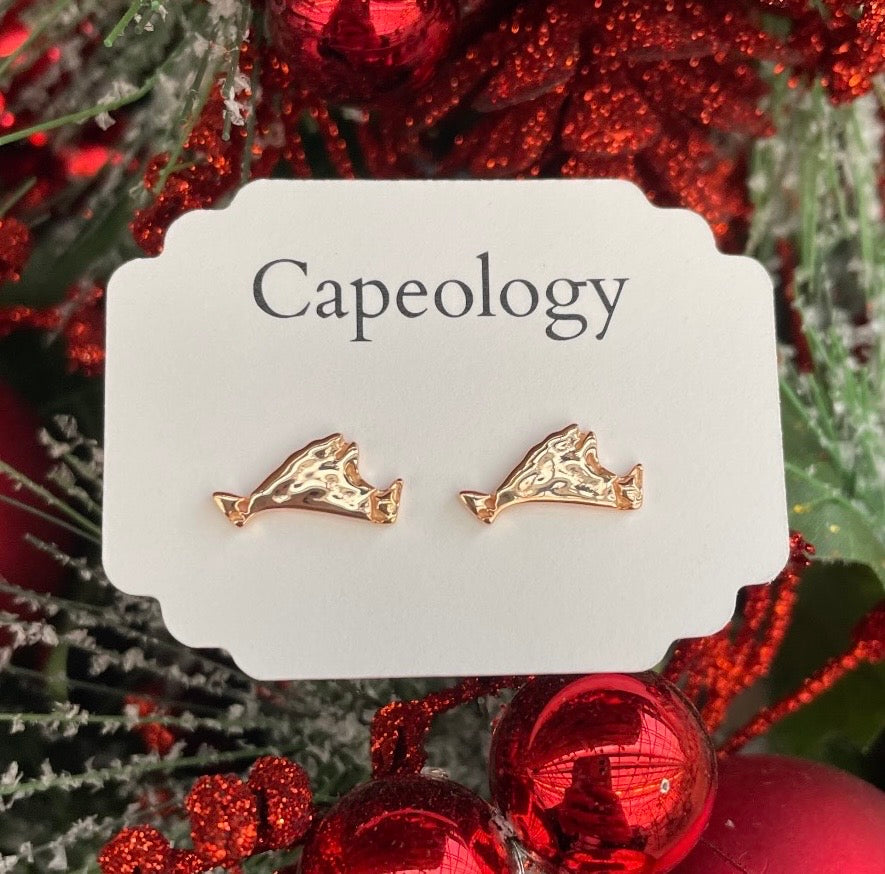 Martha's Vineyard Earrings