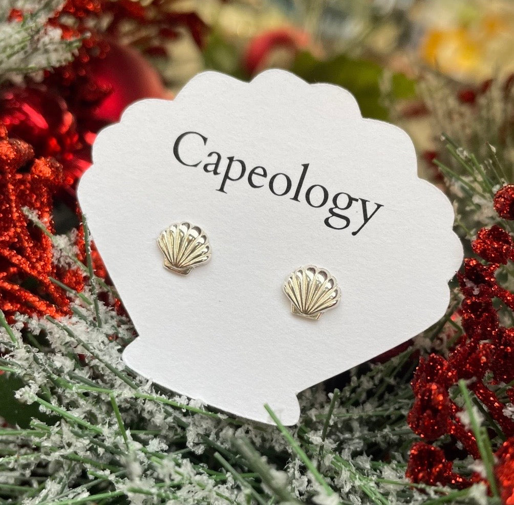 Seashell Earrings