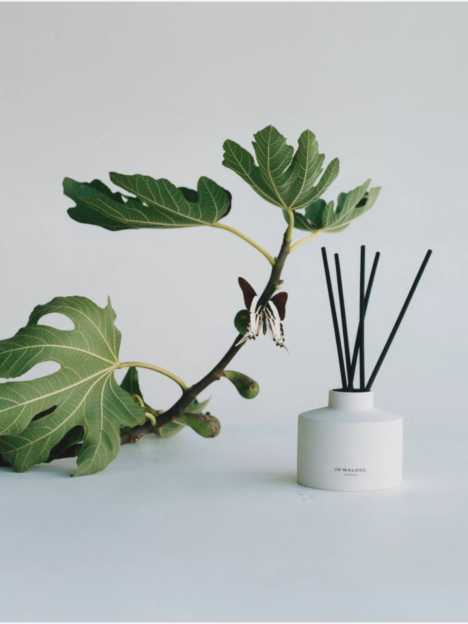 JO MALONE LONDON Fresh Fig & Cassis diffuser refill 350ml