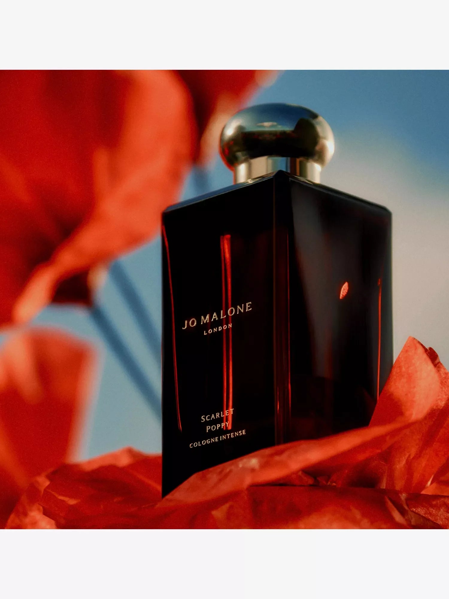 JO MALONE LONDON Scarlet Poppy Cologne Intense 50ml