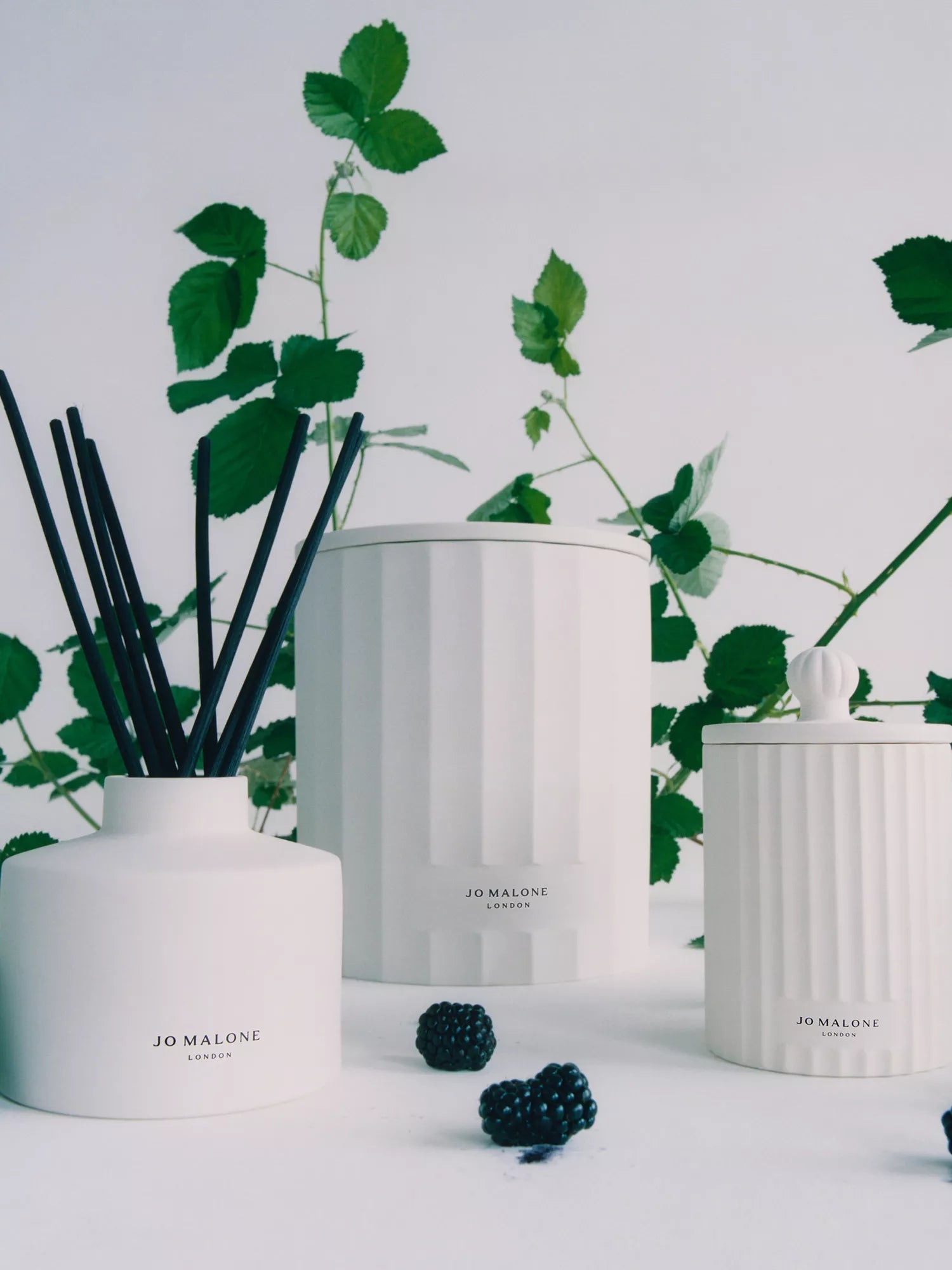 JO MALONE LONDON Wild Berry & Bramble scented candle 300g