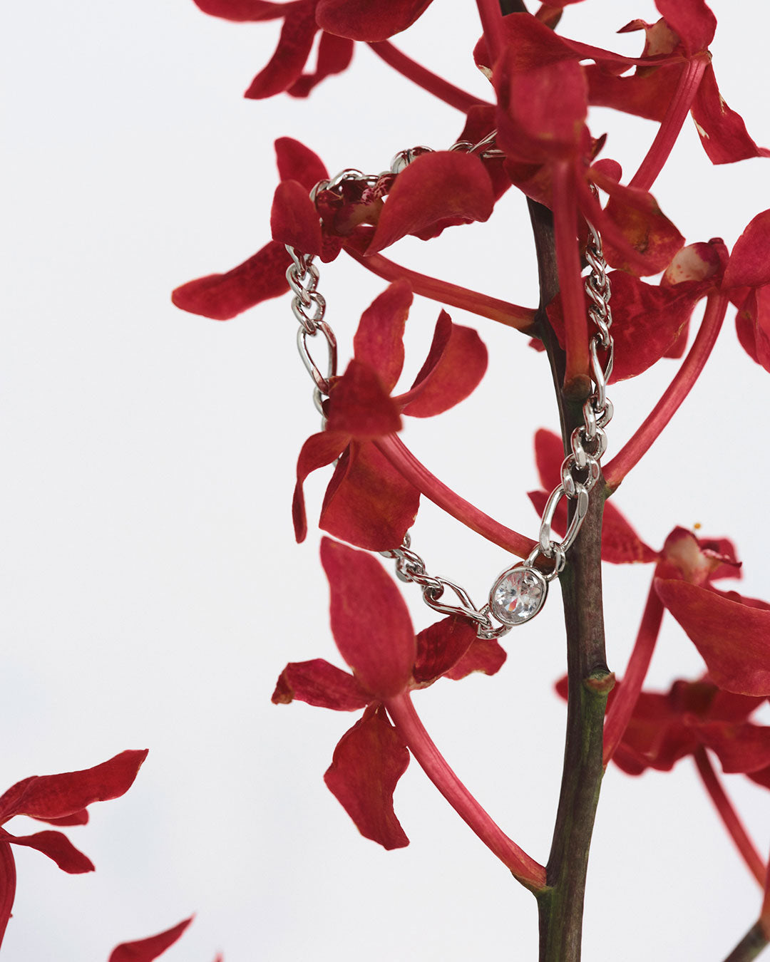 The Oval Bezel Chain Bracelet