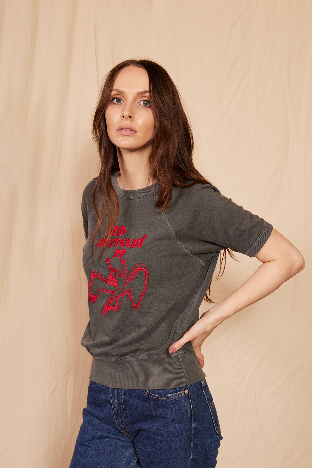 Led Zeppelin '77 Terry Raglan Shirt by People of Leisure
