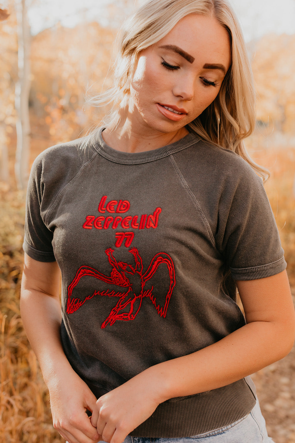 Led Zeppelin '77 Terry Raglan Shirt by People of Leisure