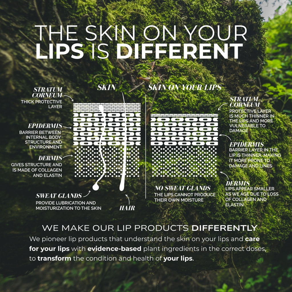 Lip Colour Serum