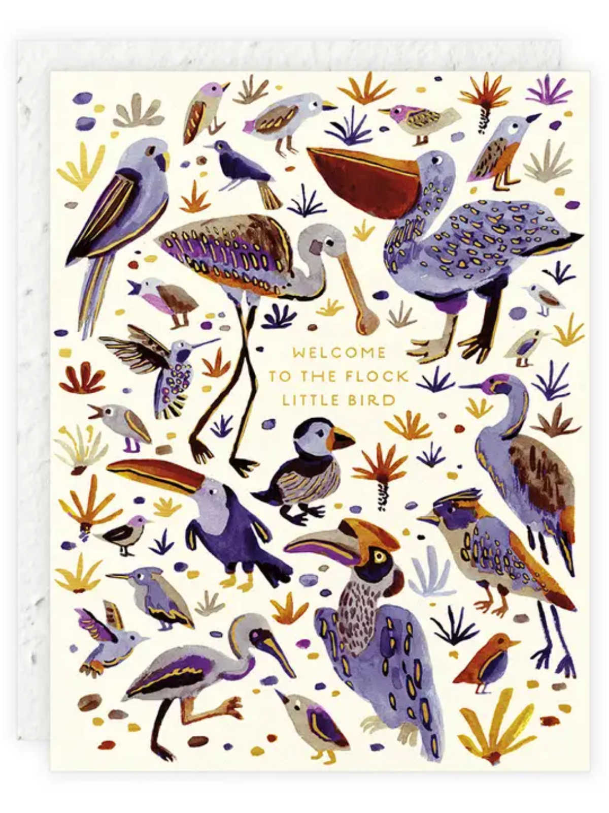 Little Bird - Seeded Baby Congratulations Card