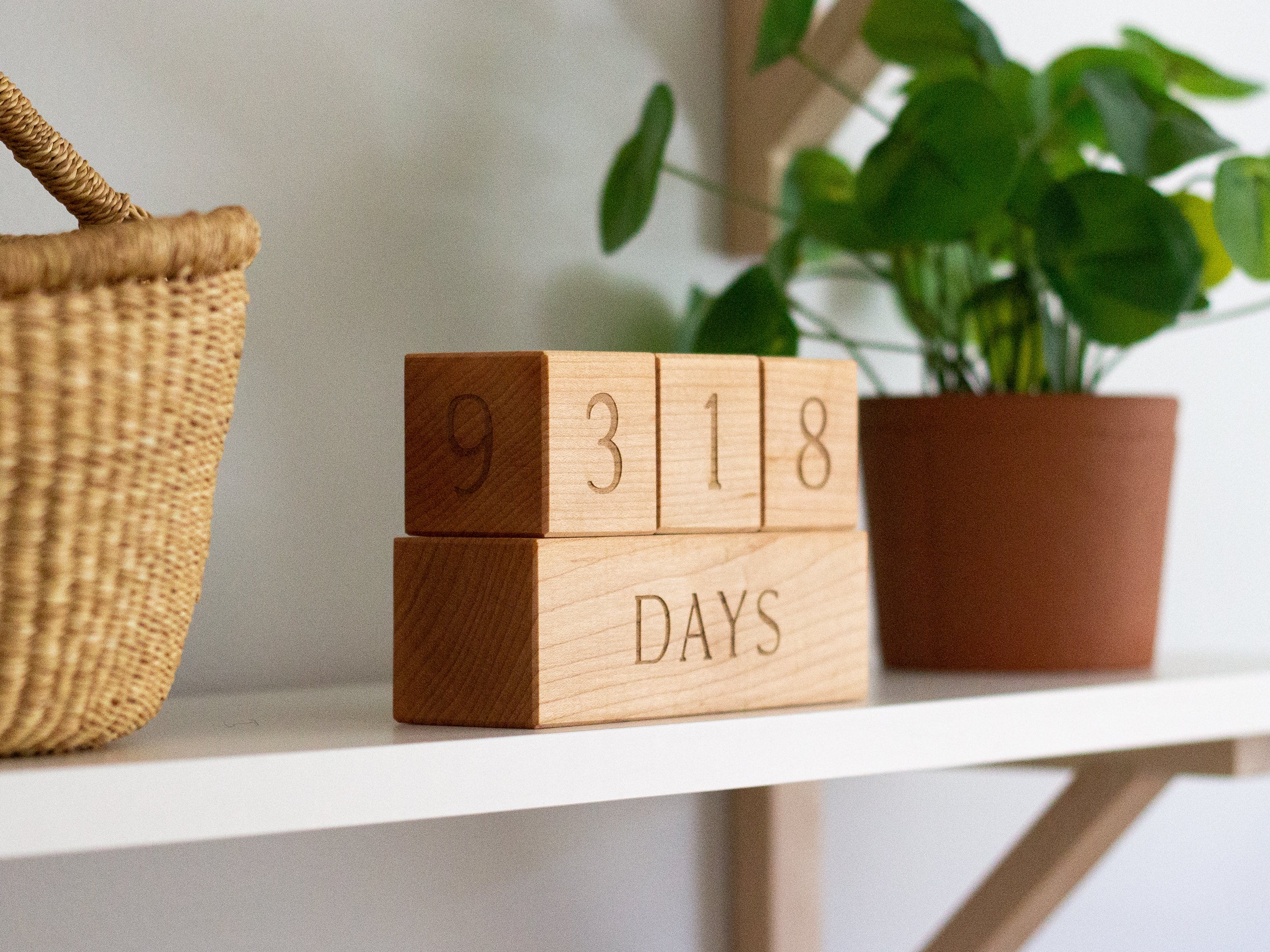 Modern Wooden Milestone Blocks