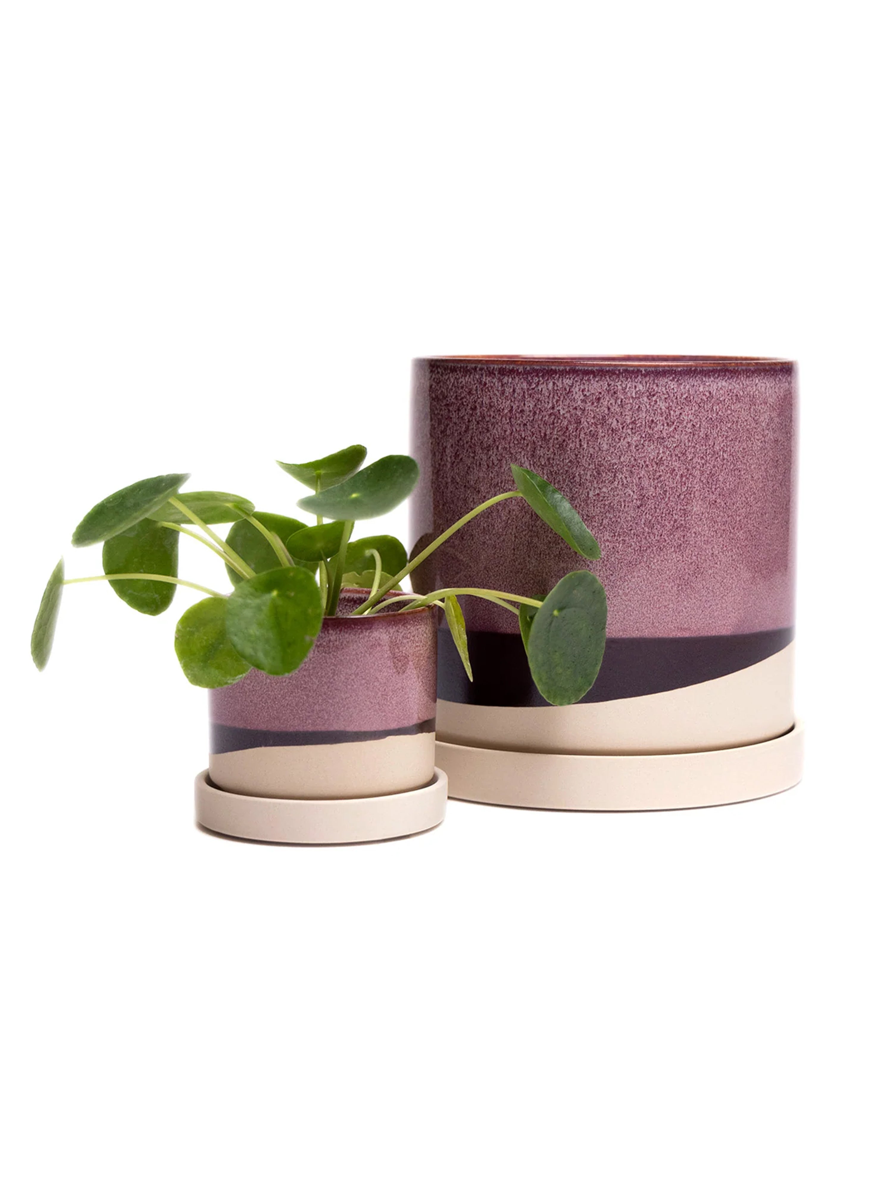 Burgundy Ceramic Plant Pot and Saucer